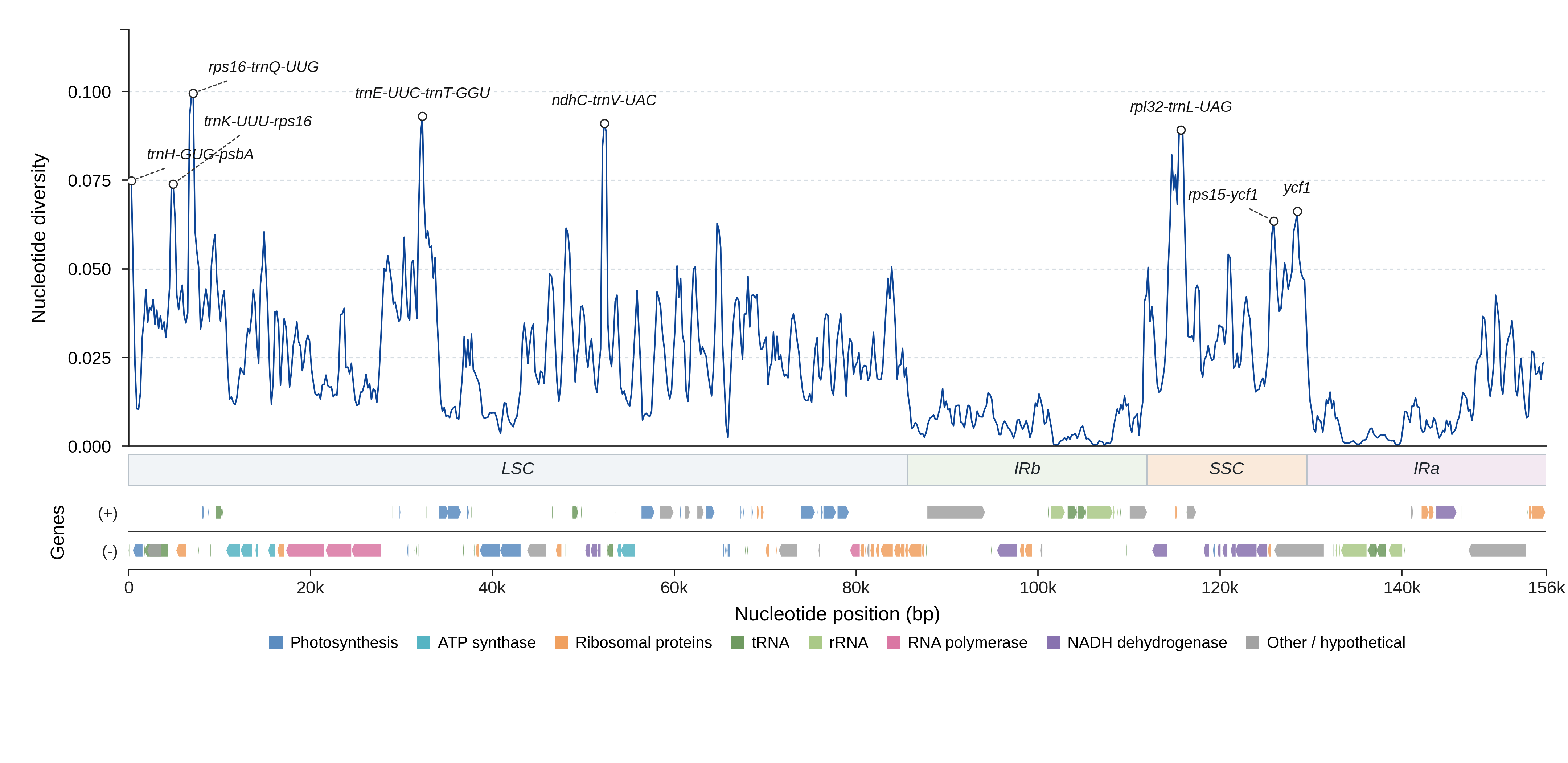 Sliding-window nucleotide diversity