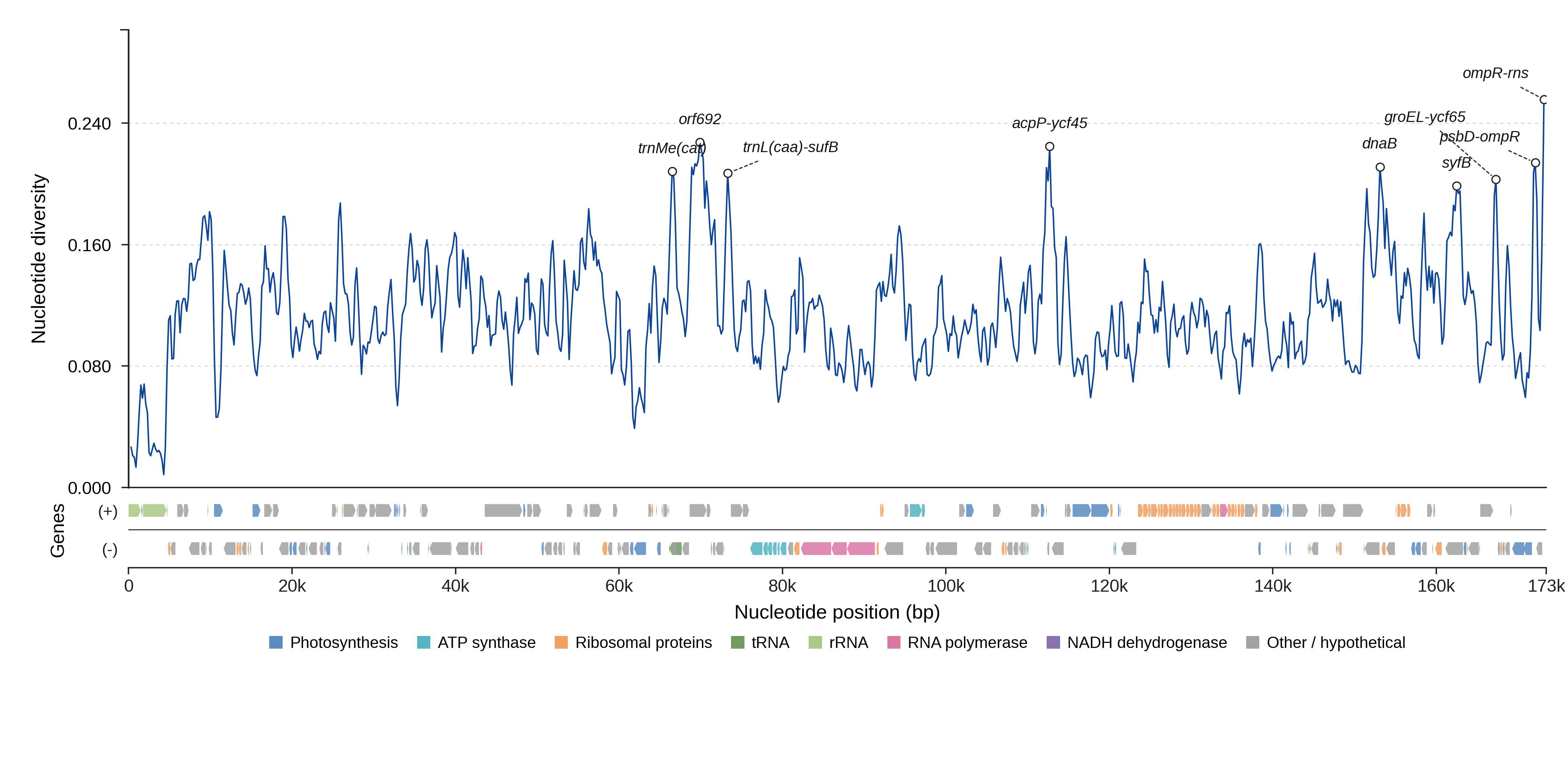 Sliding-window nucleotide diversity