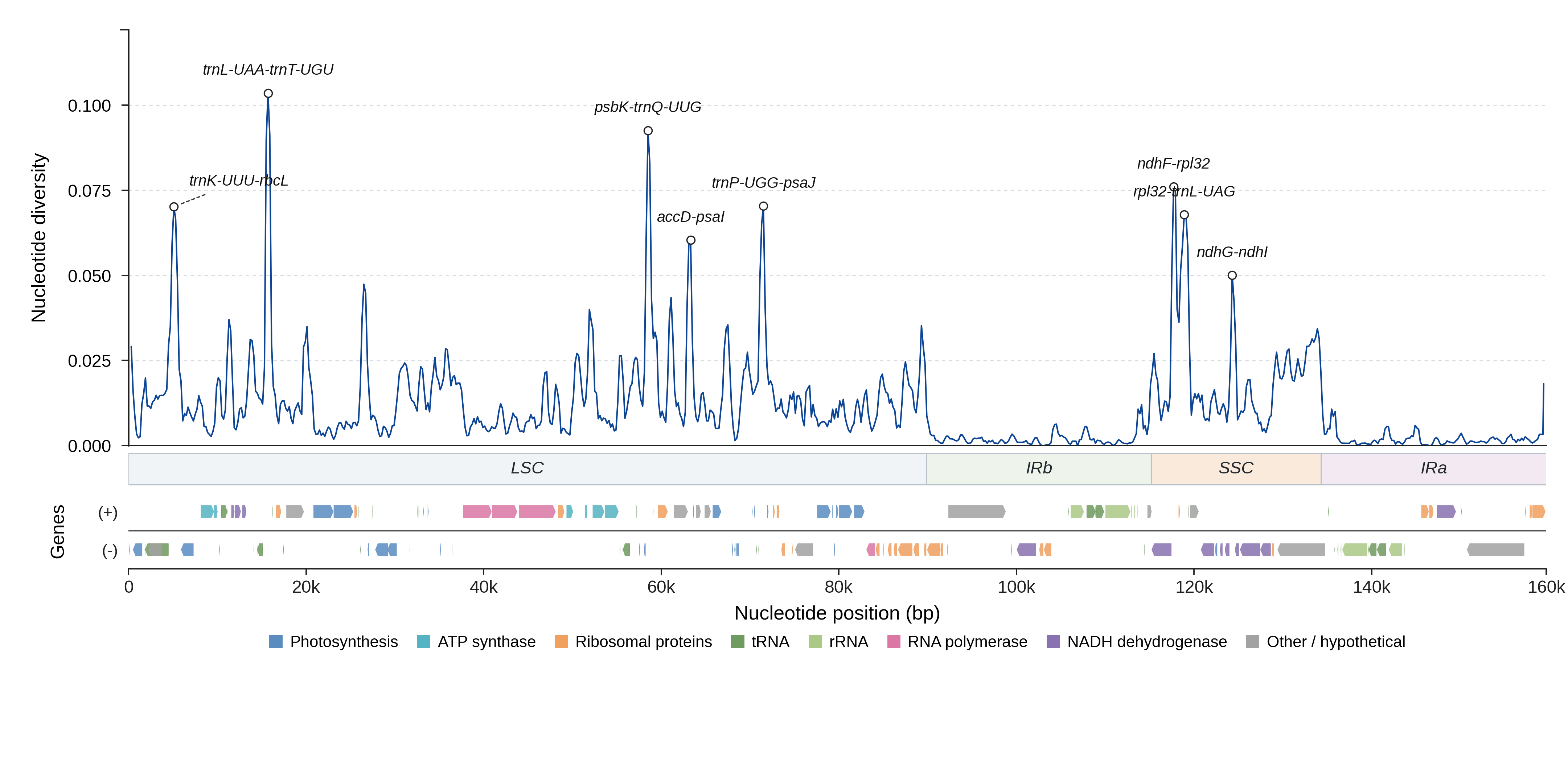 Sliding-window nucleotide diversity