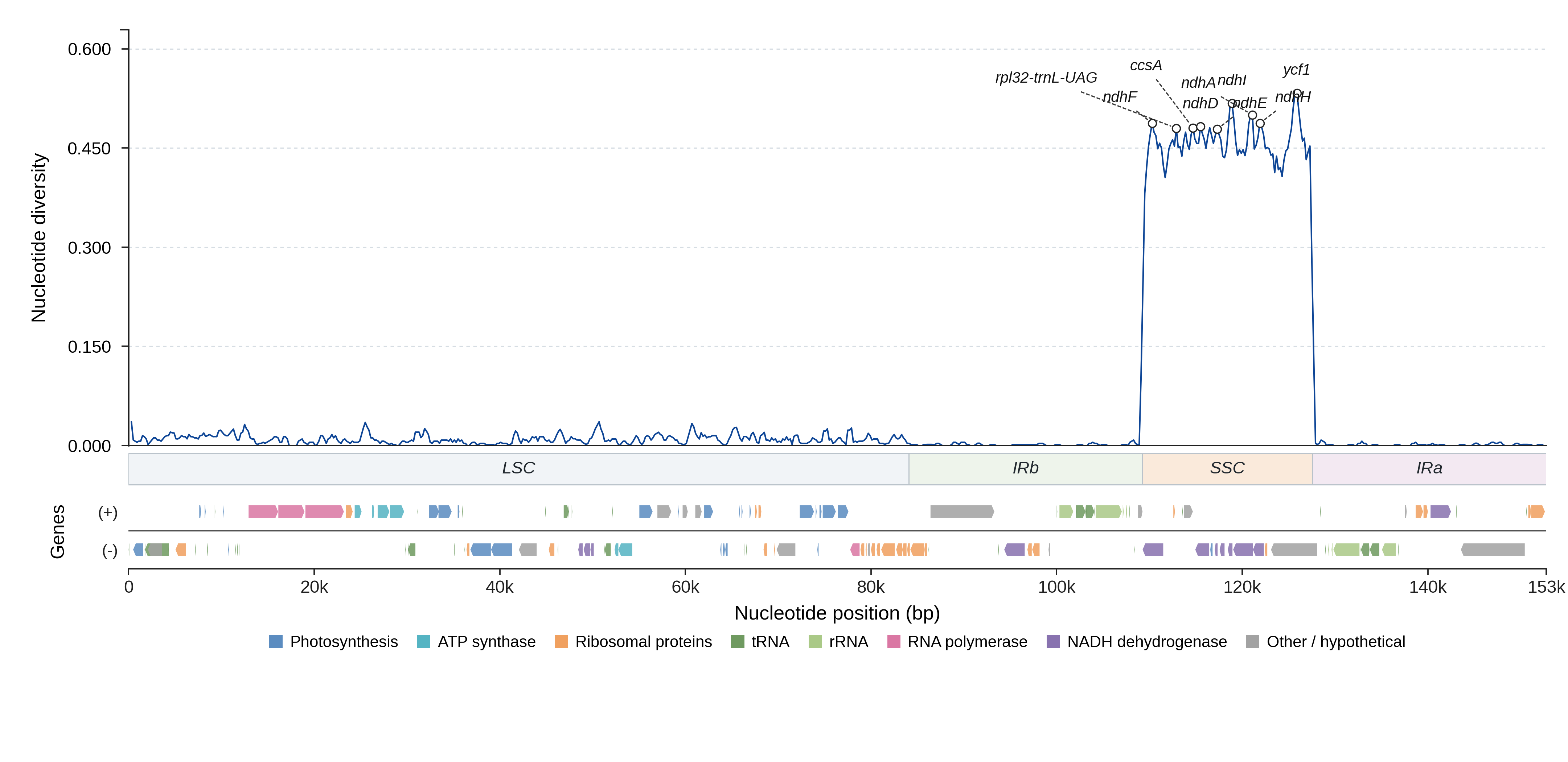 Sliding-window nucleotide diversity