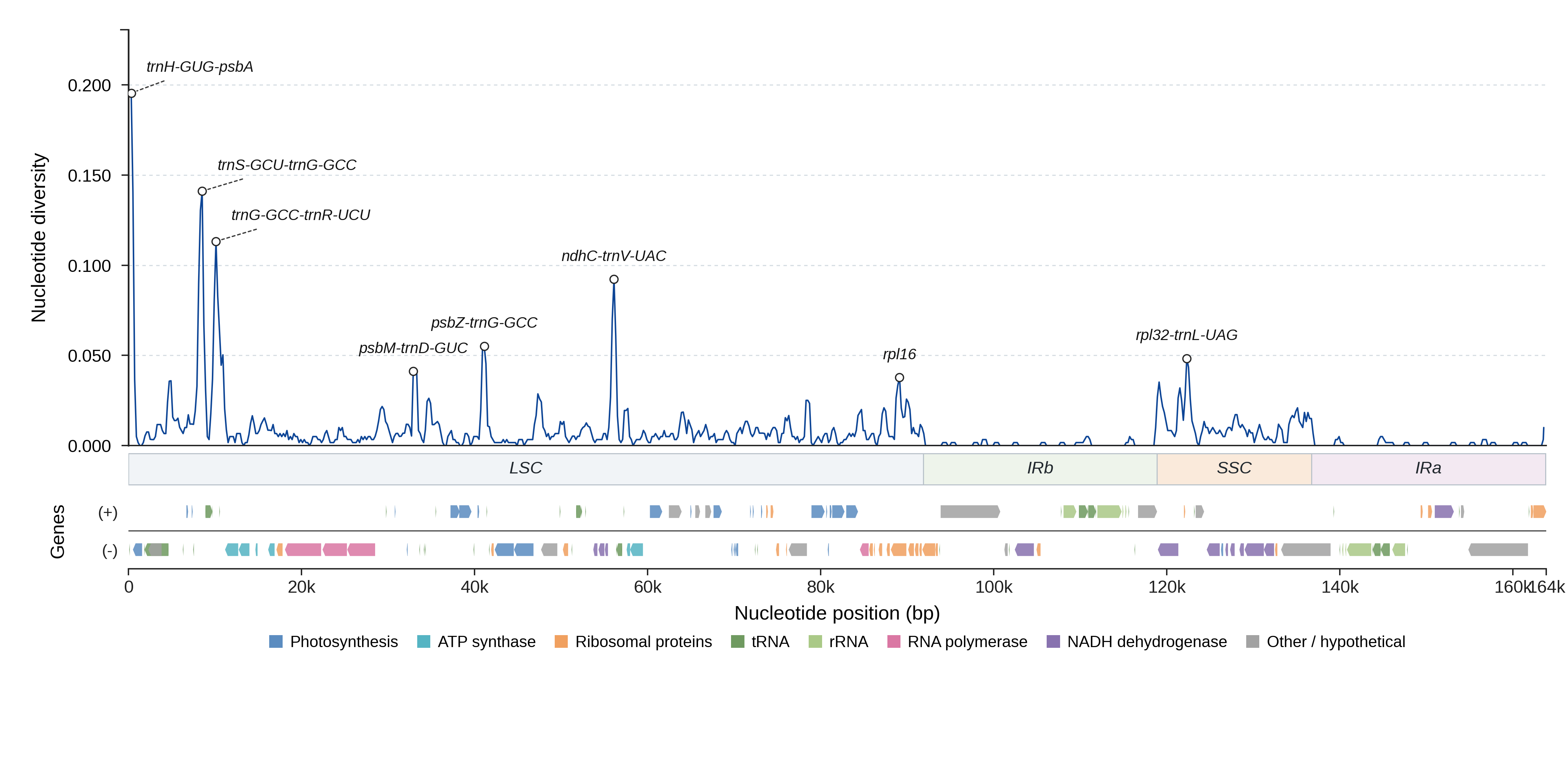 Sliding-window nucleotide diversity