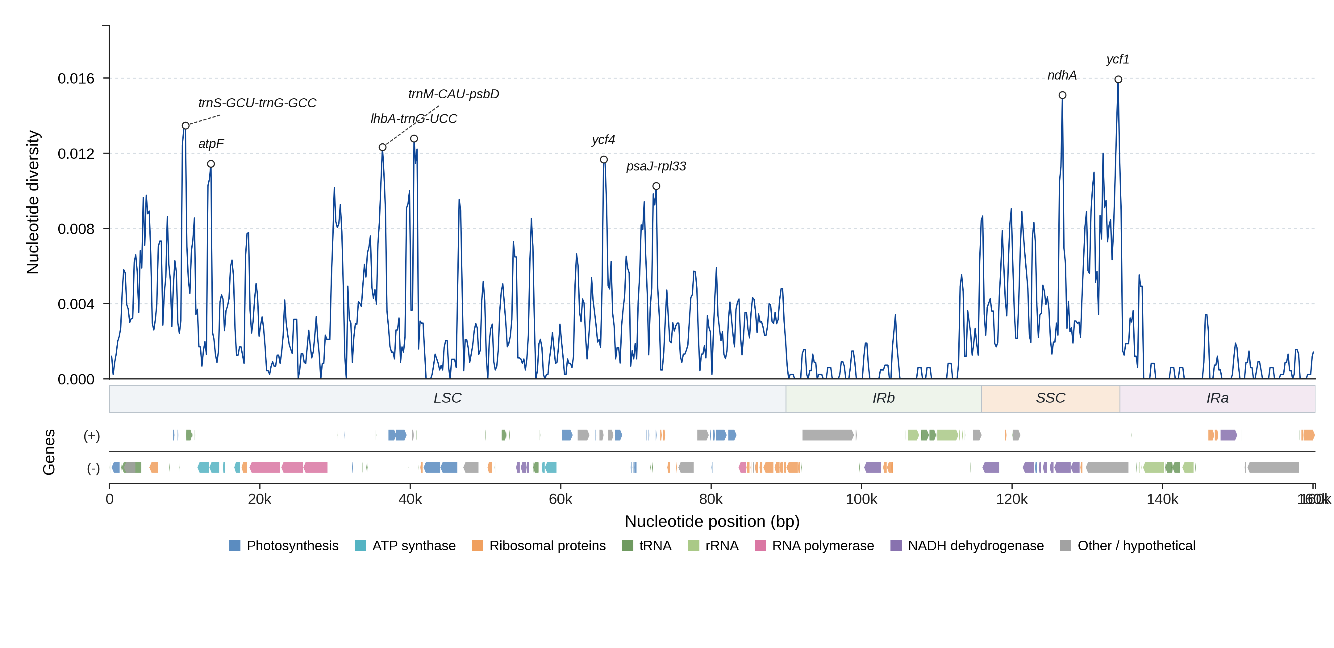 Sliding-window nucleotide diversity