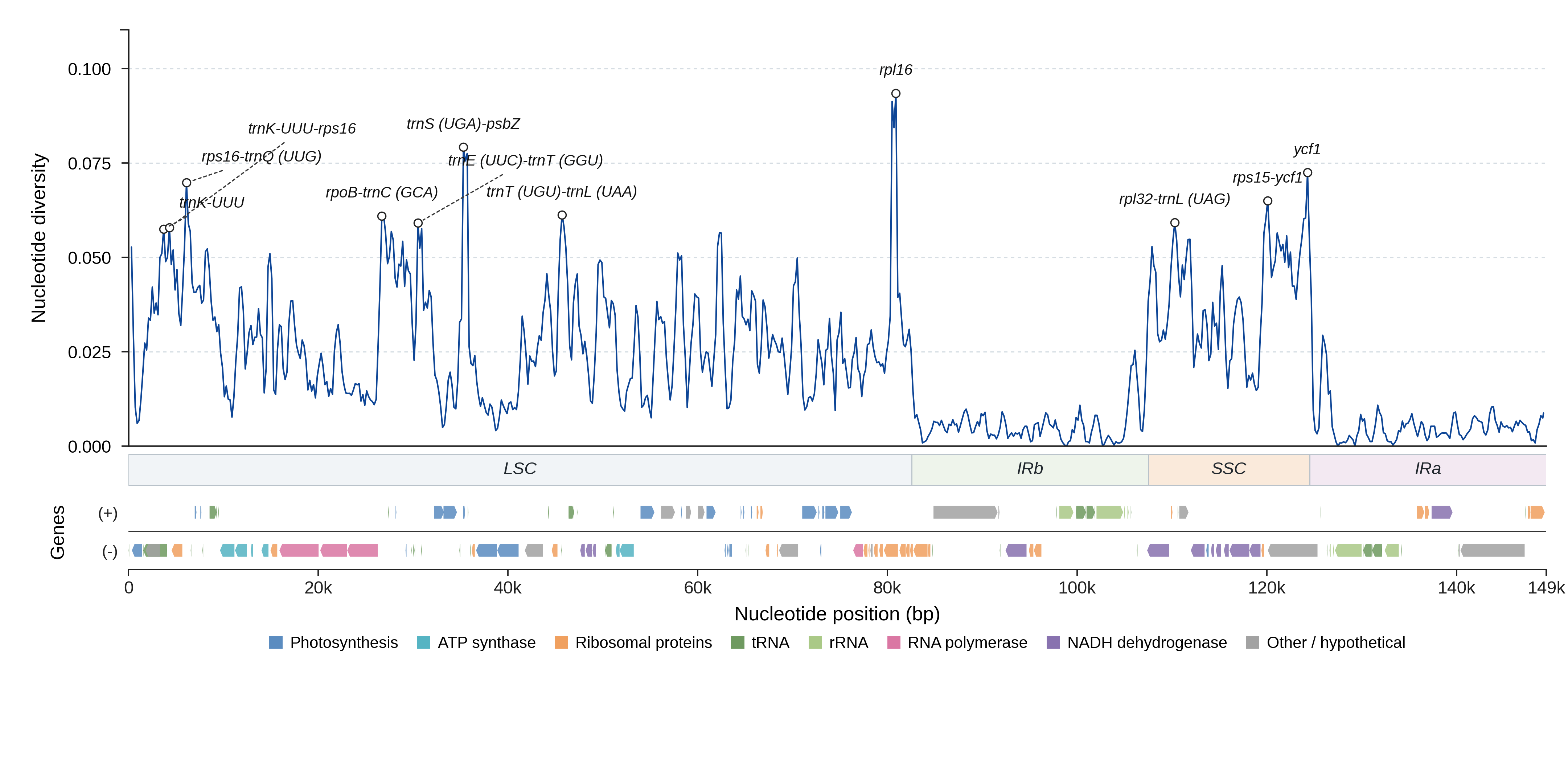 Sliding-window nucleotide diversity