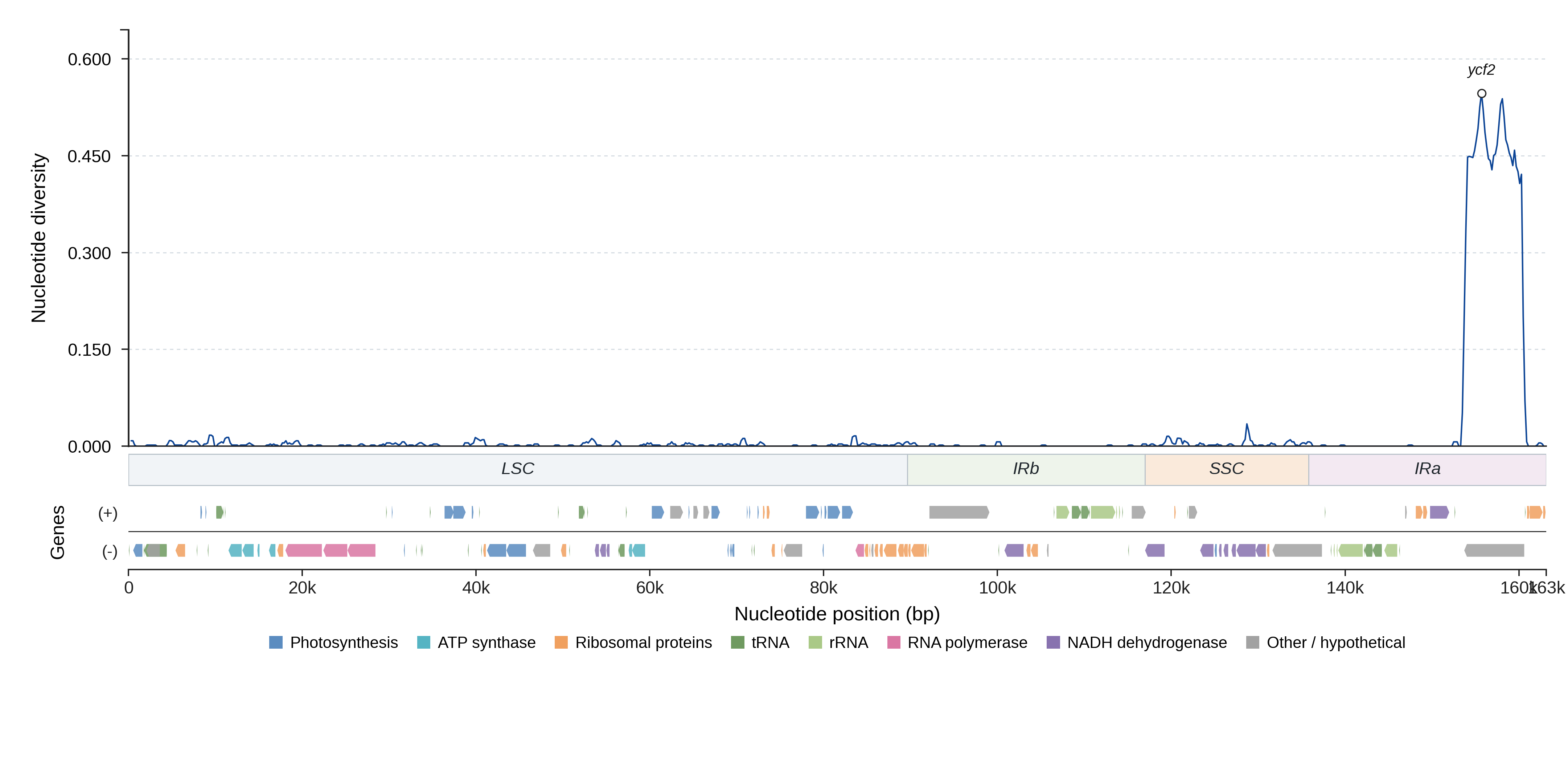 Sliding-window nucleotide diversity