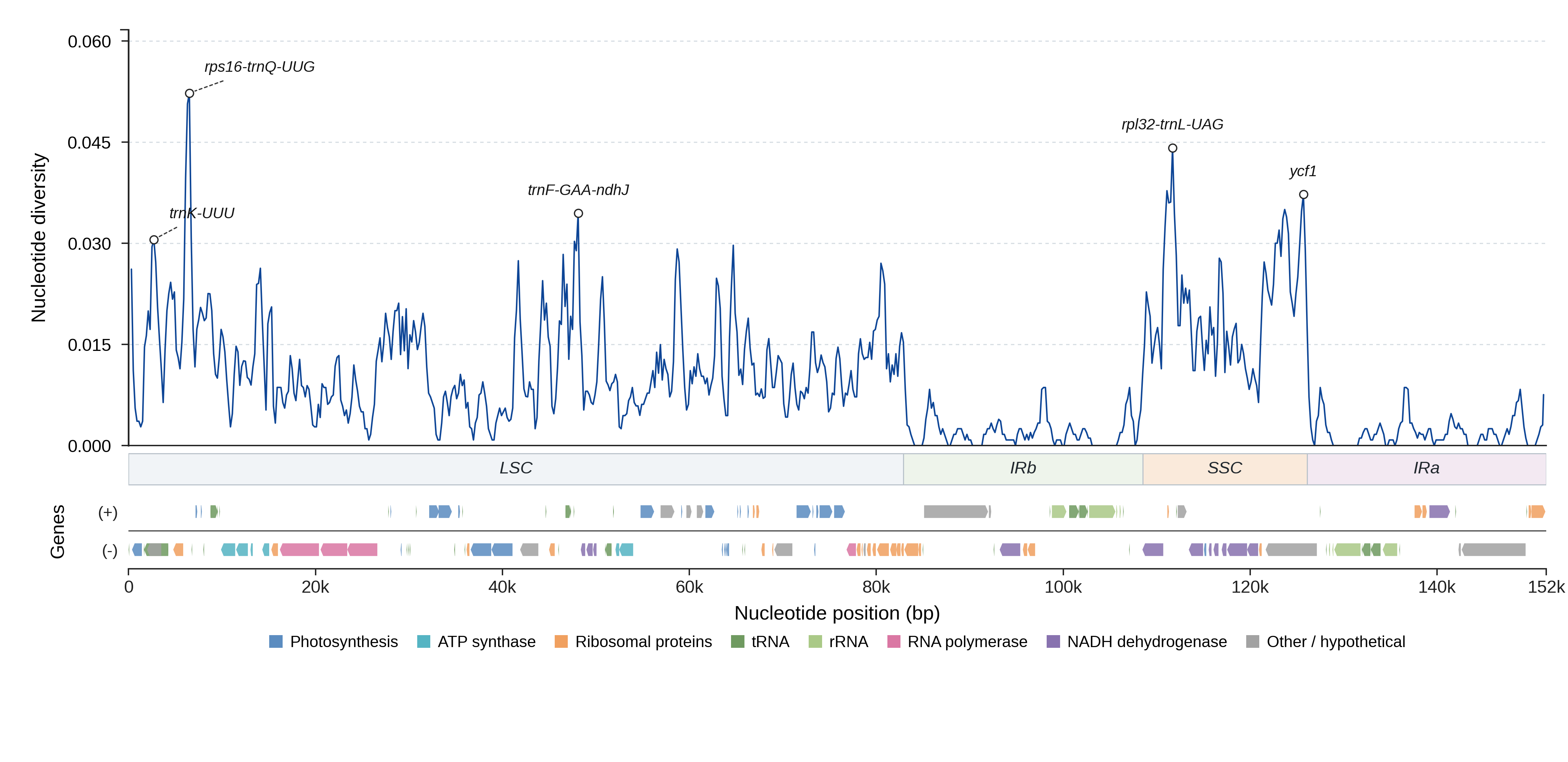 Sliding-window nucleotide diversity