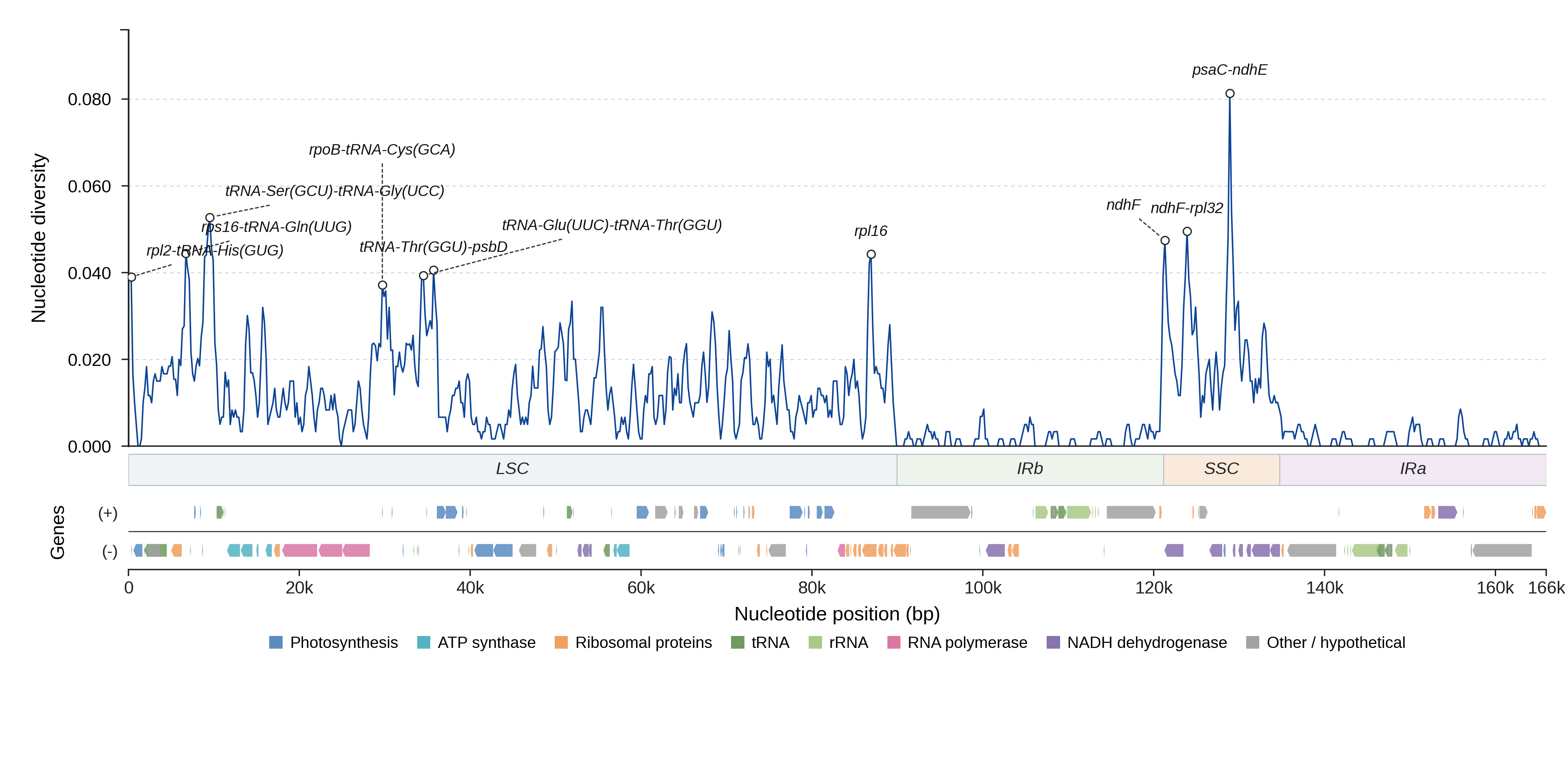 Sliding-window nucleotide diversity
