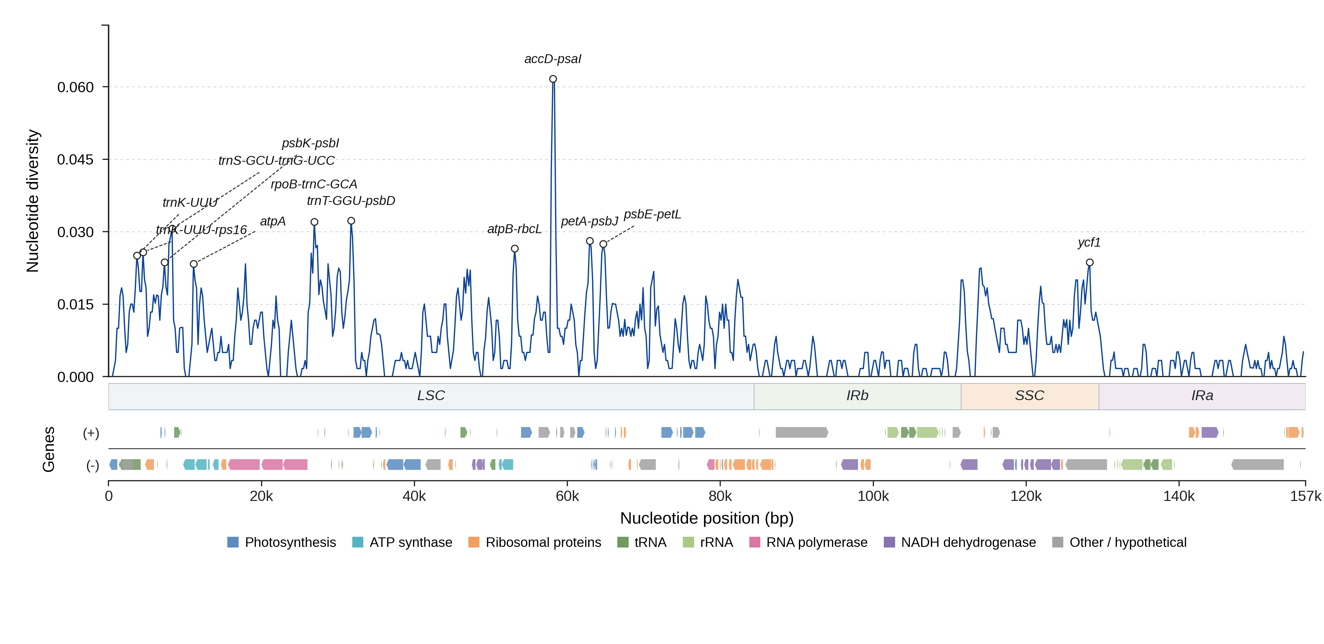 Sliding-window nucleotide diversity