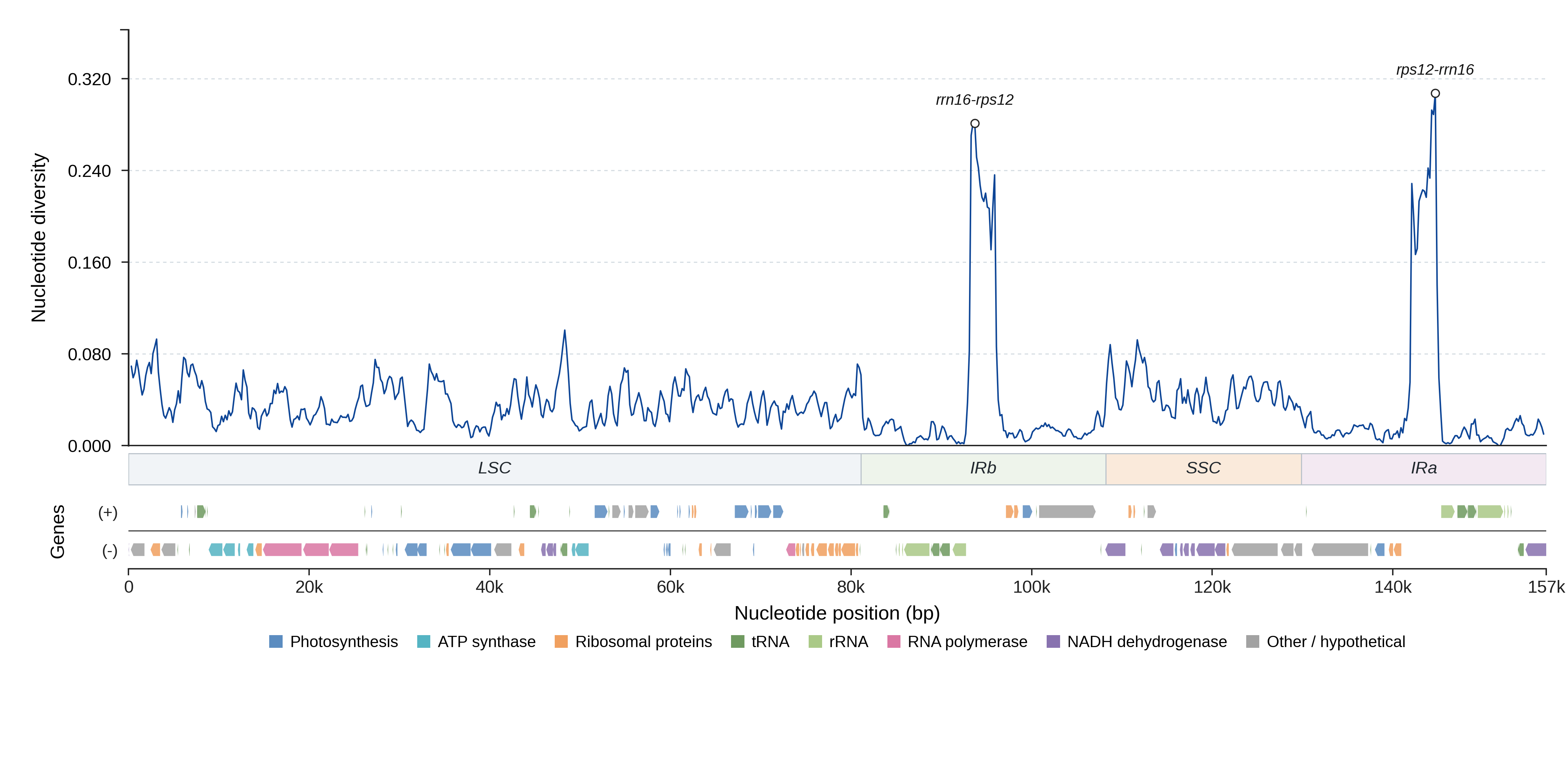 Sliding-window nucleotide diversity