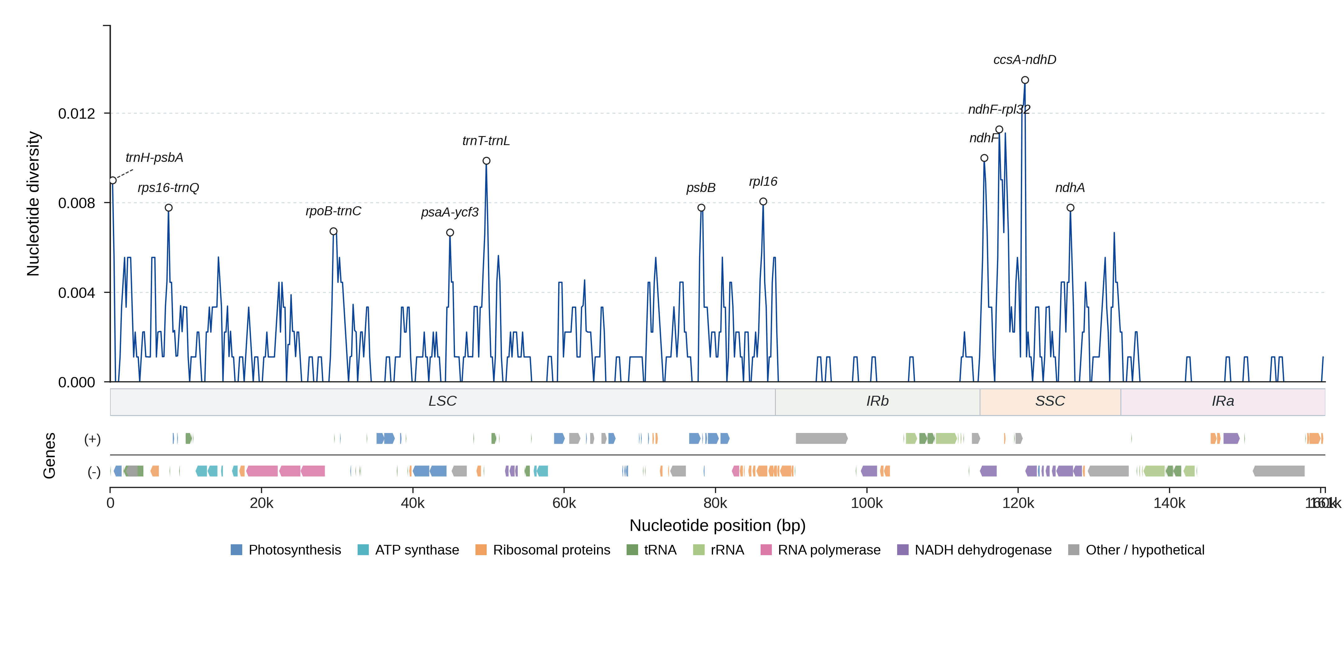 Sliding-window nucleotide diversity