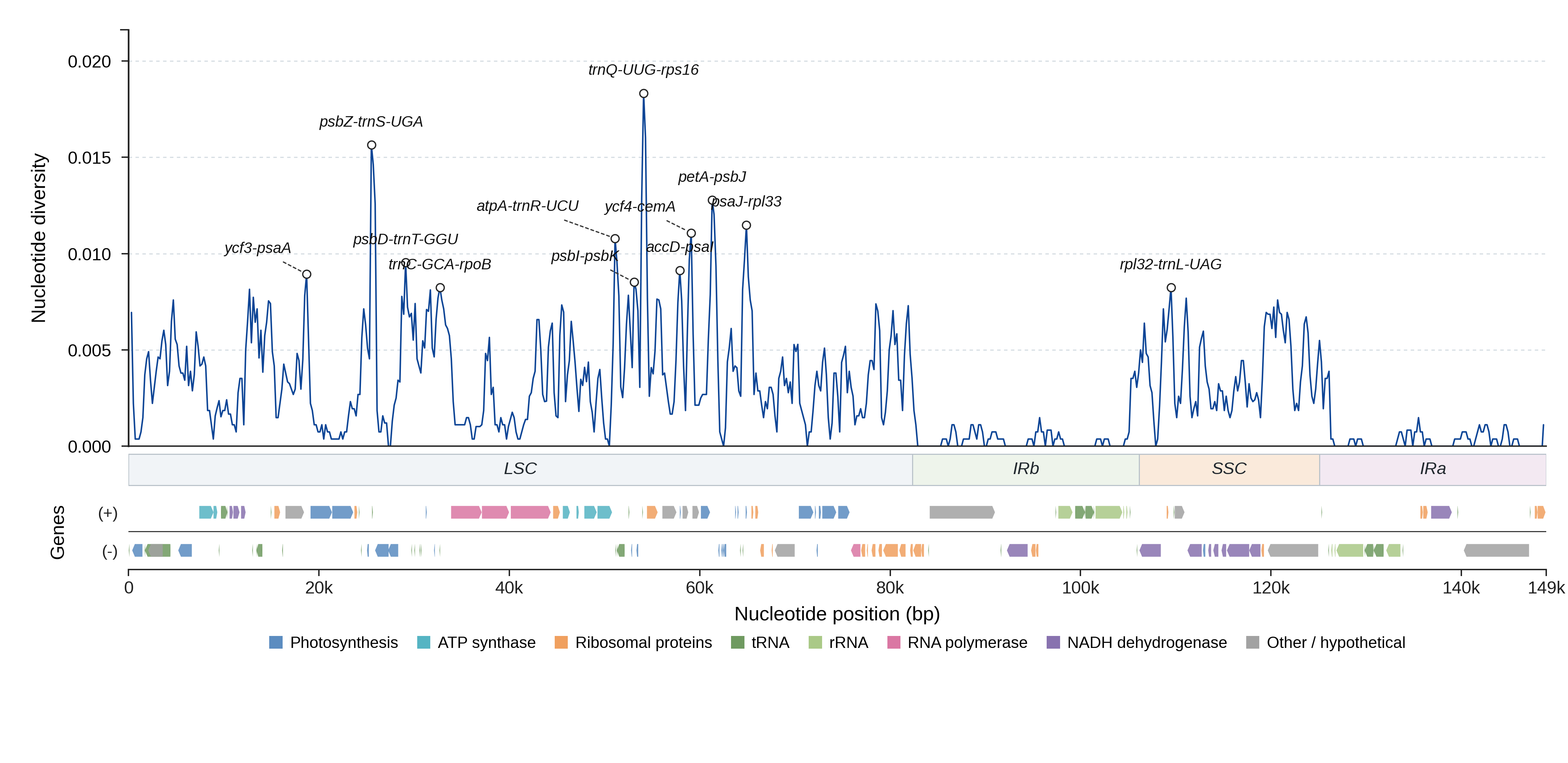 Sliding-window nucleotide diversity