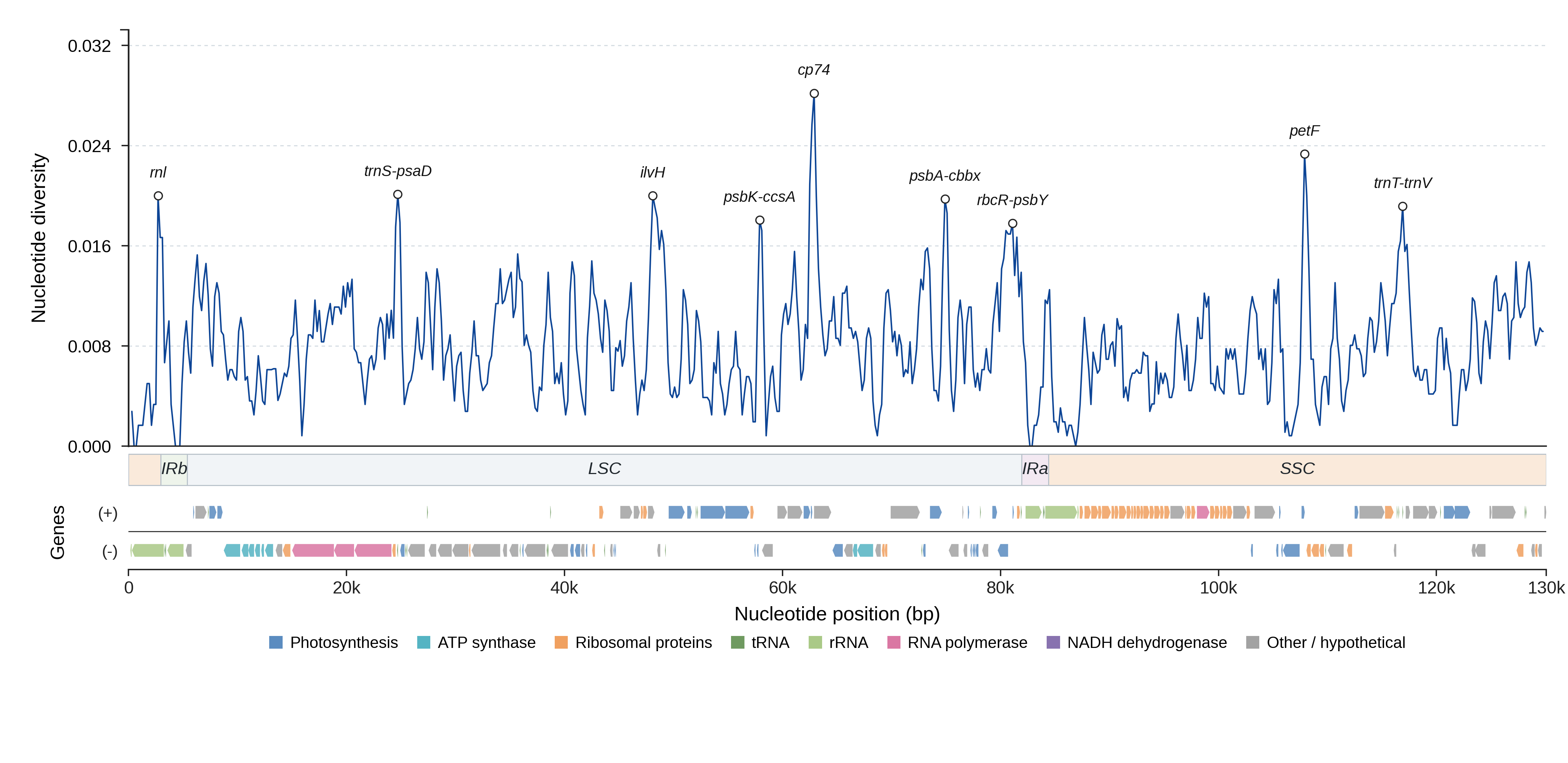 Sliding-window nucleotide diversity