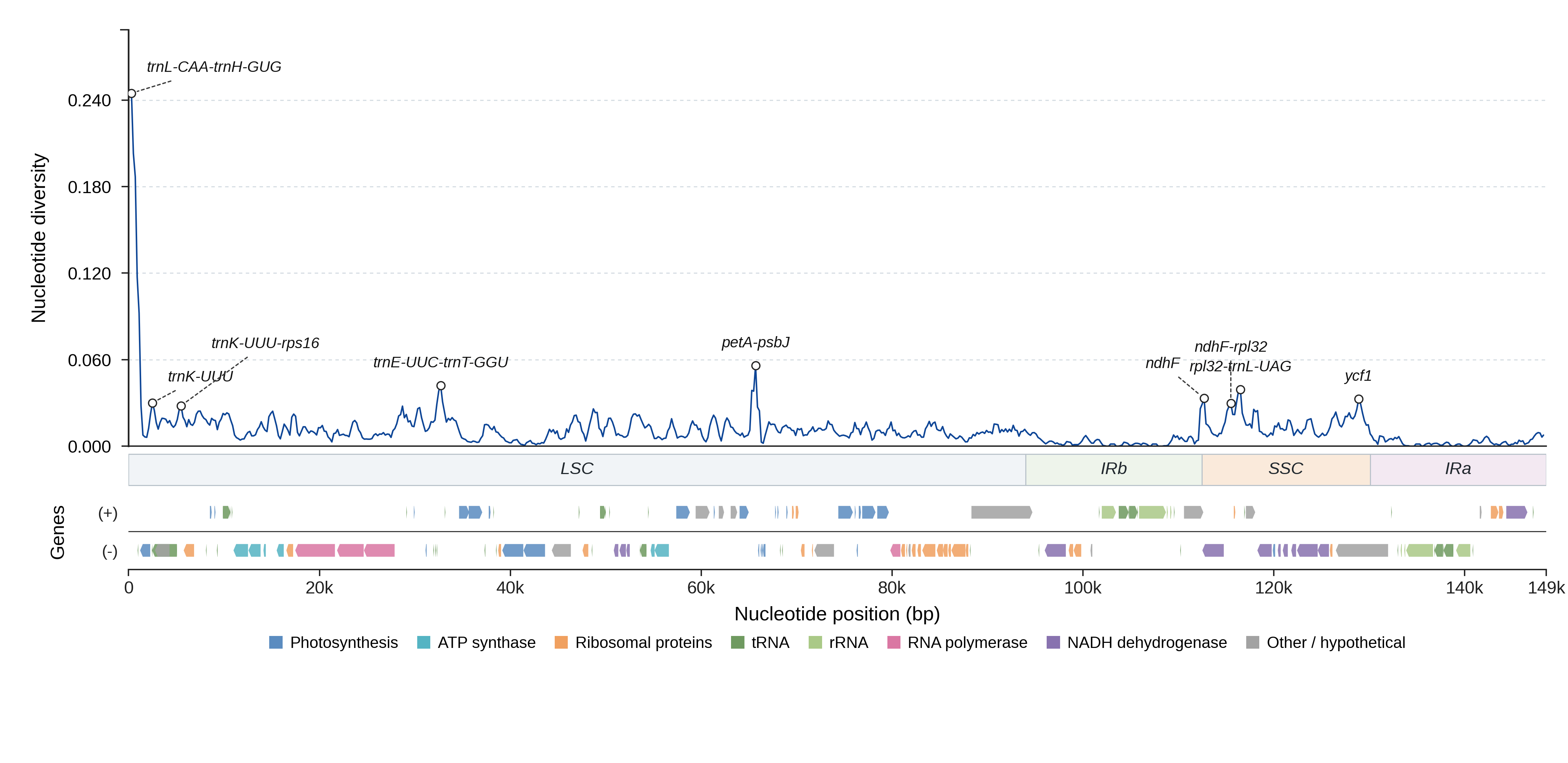 Sliding-window nucleotide diversity