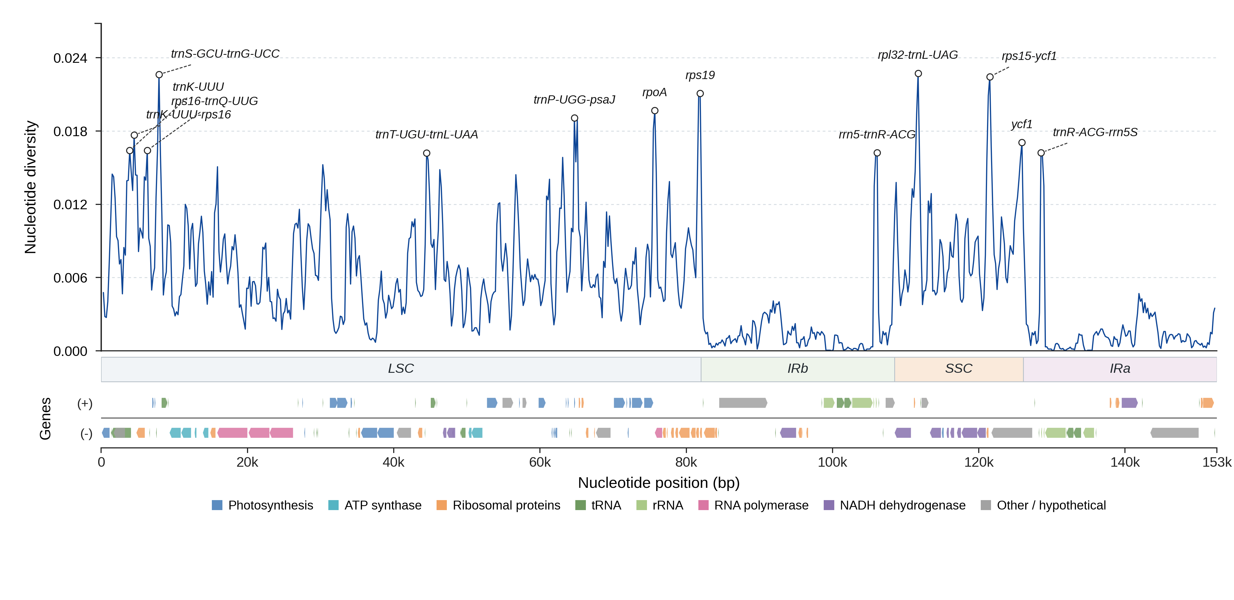 Sliding-window nucleotide diversity