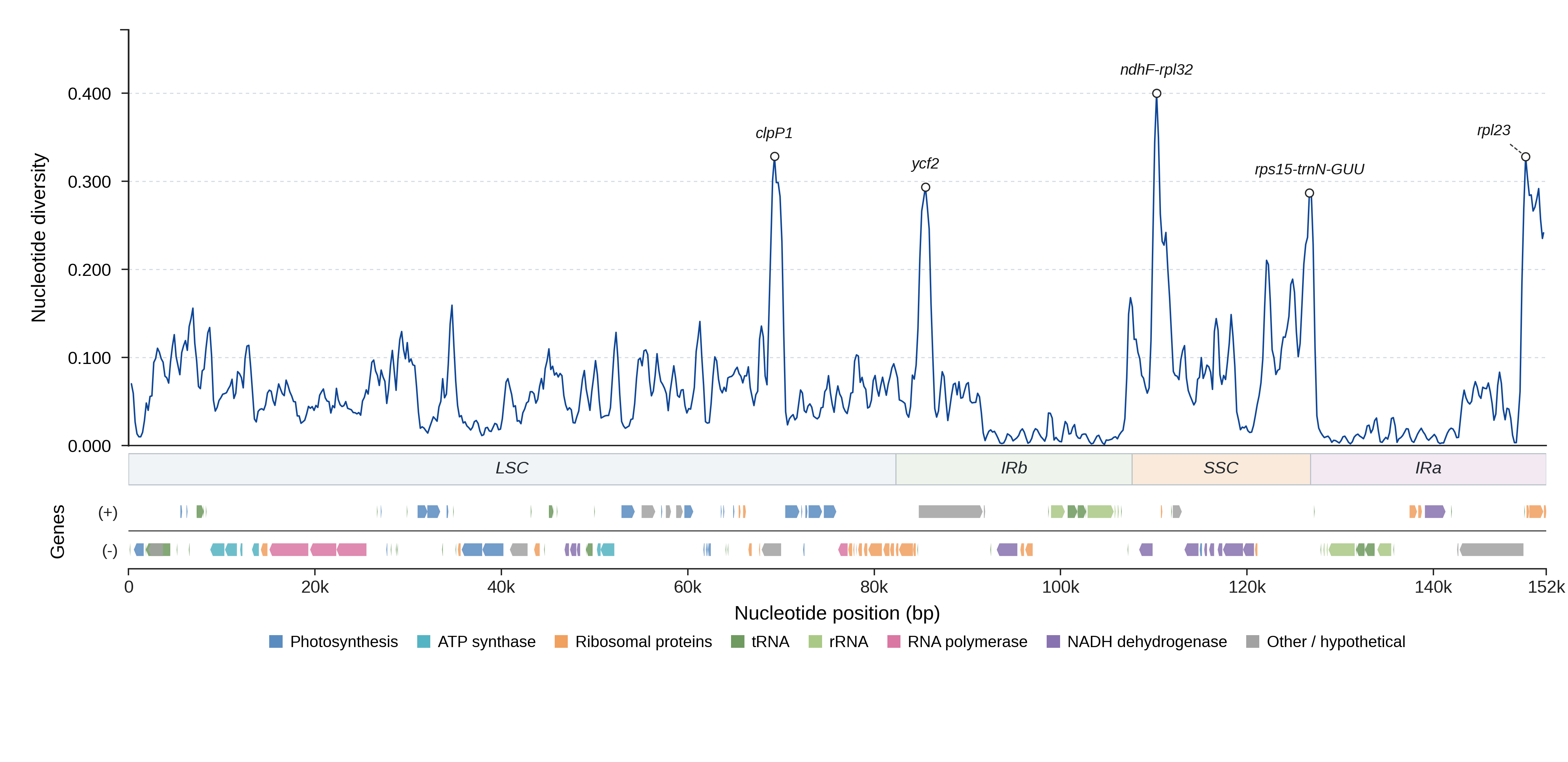 Sliding-window nucleotide diversity