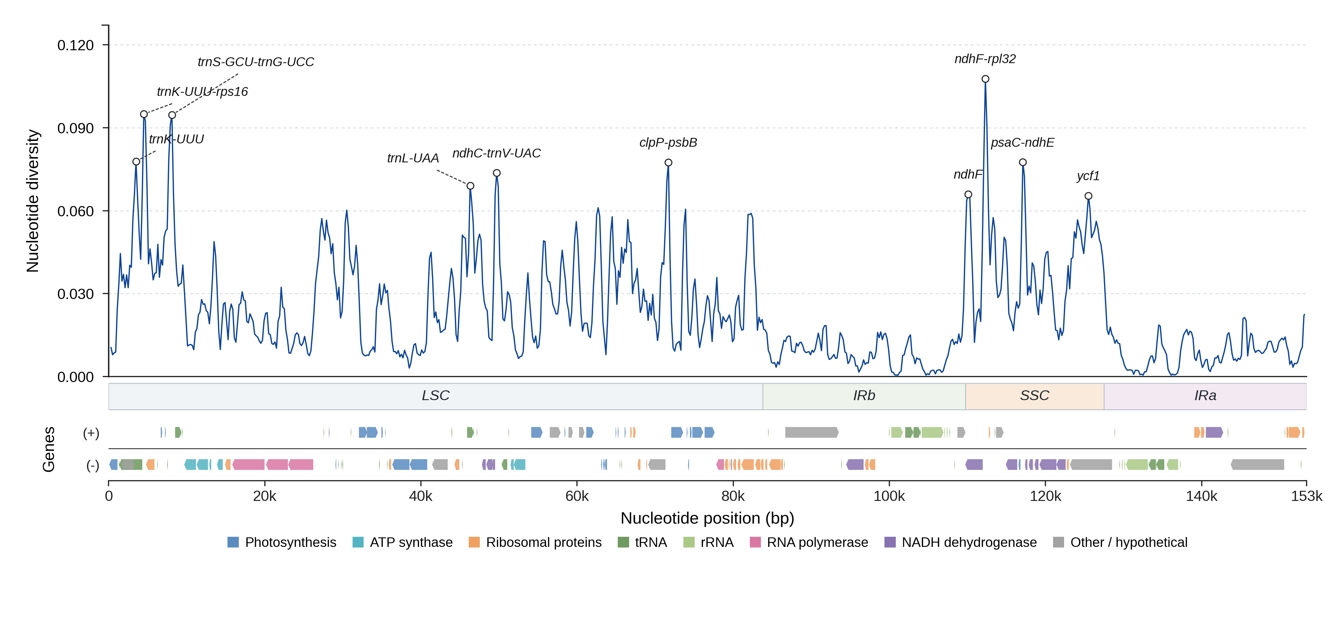 Sliding-window nucleotide diversity