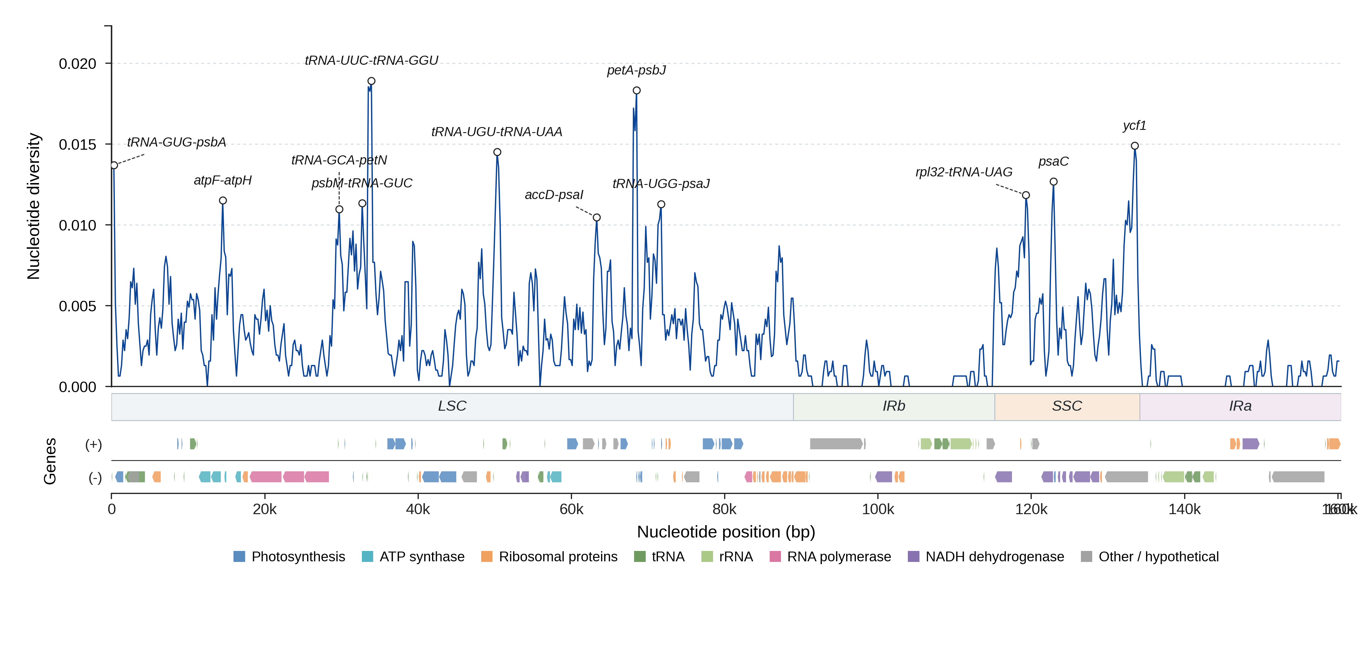 Sliding-window nucleotide diversity
