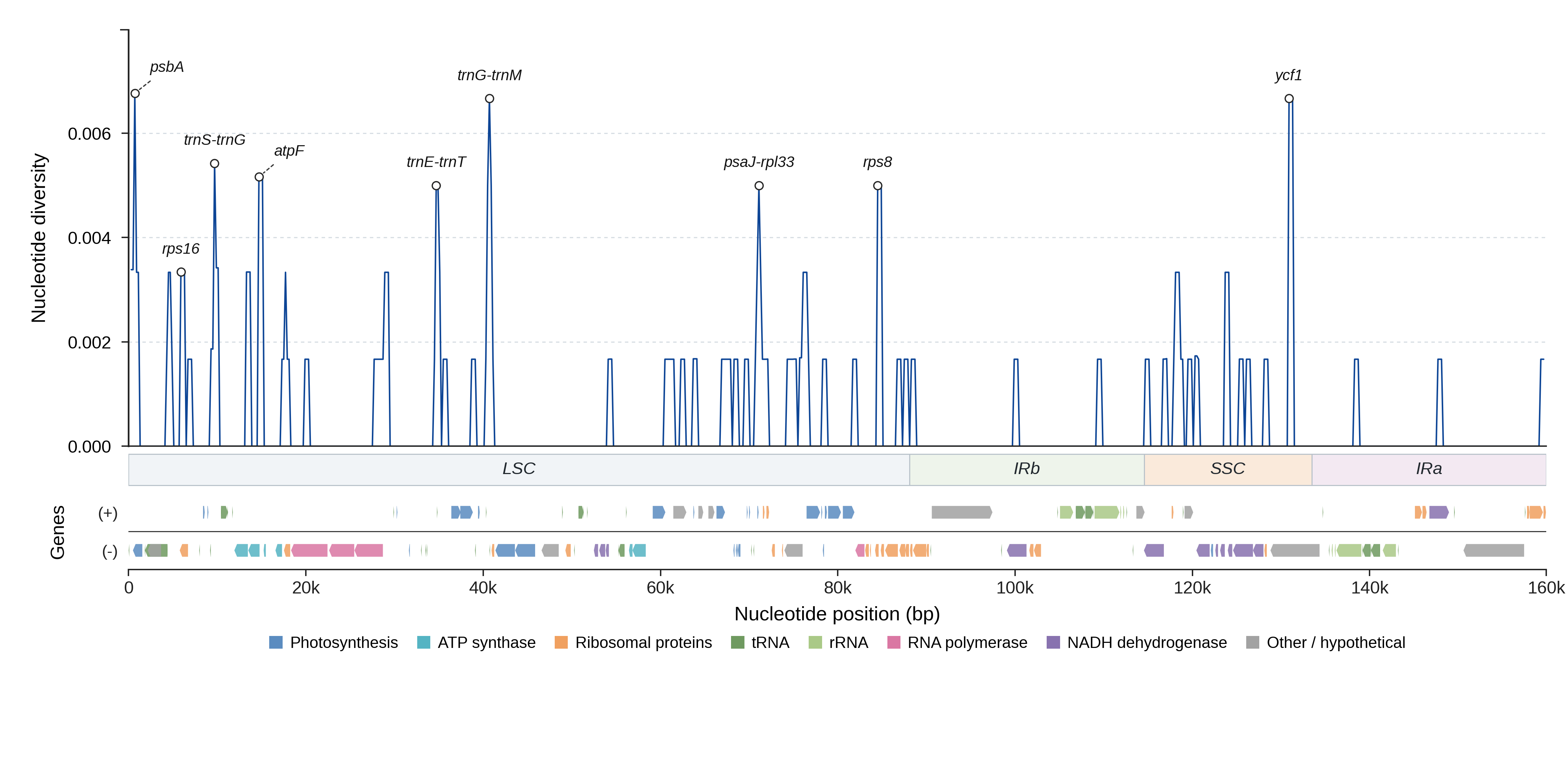 Sliding-window nucleotide diversity