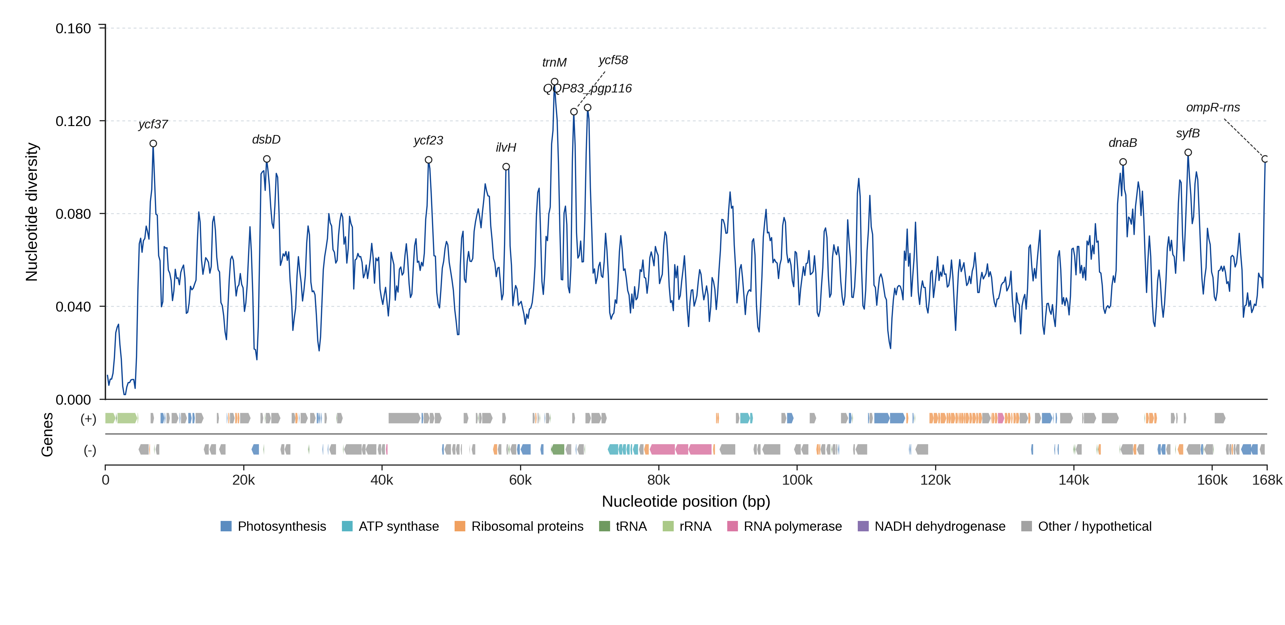 Sliding-window nucleotide diversity