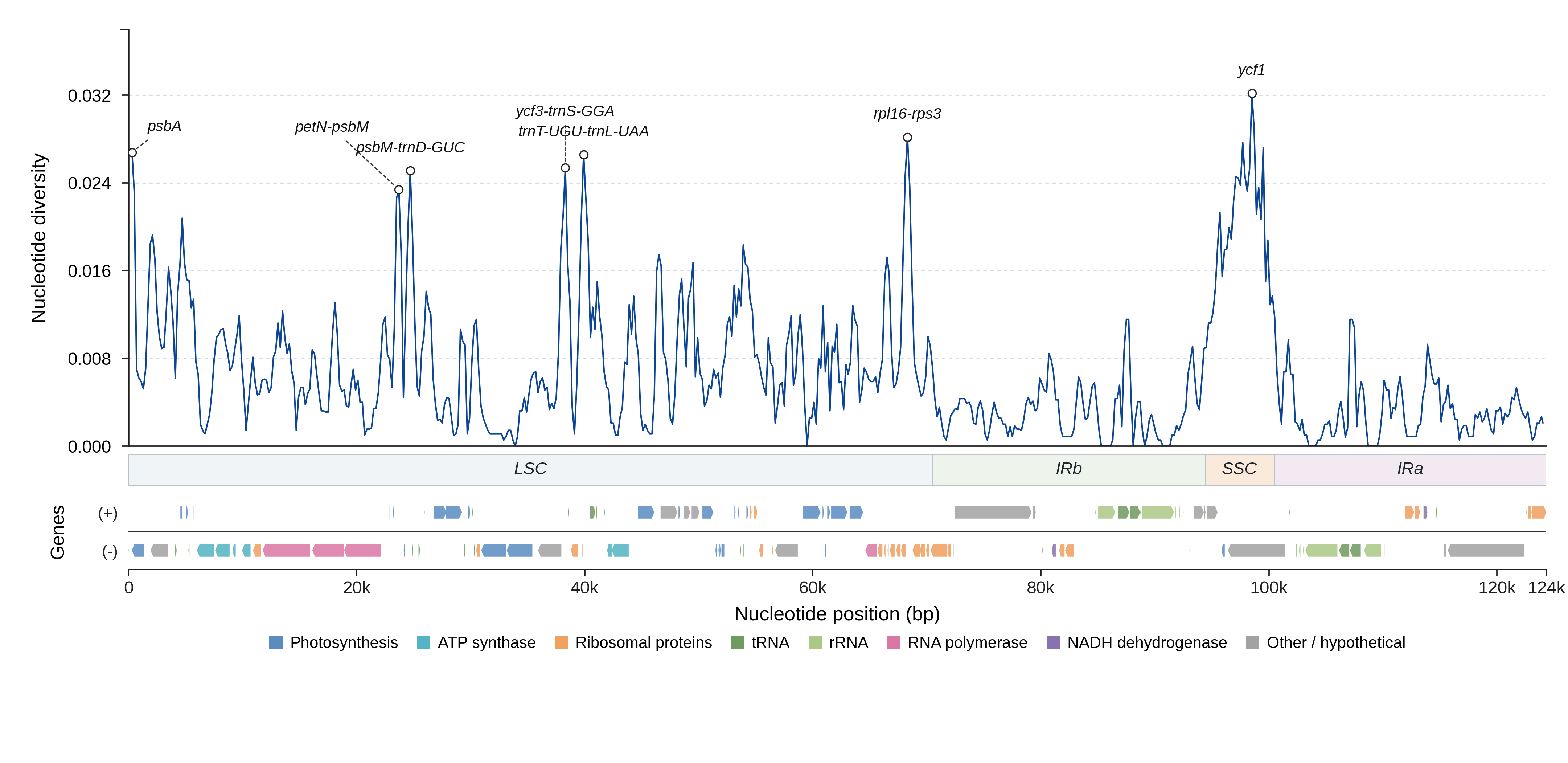 Sliding-window nucleotide diversity