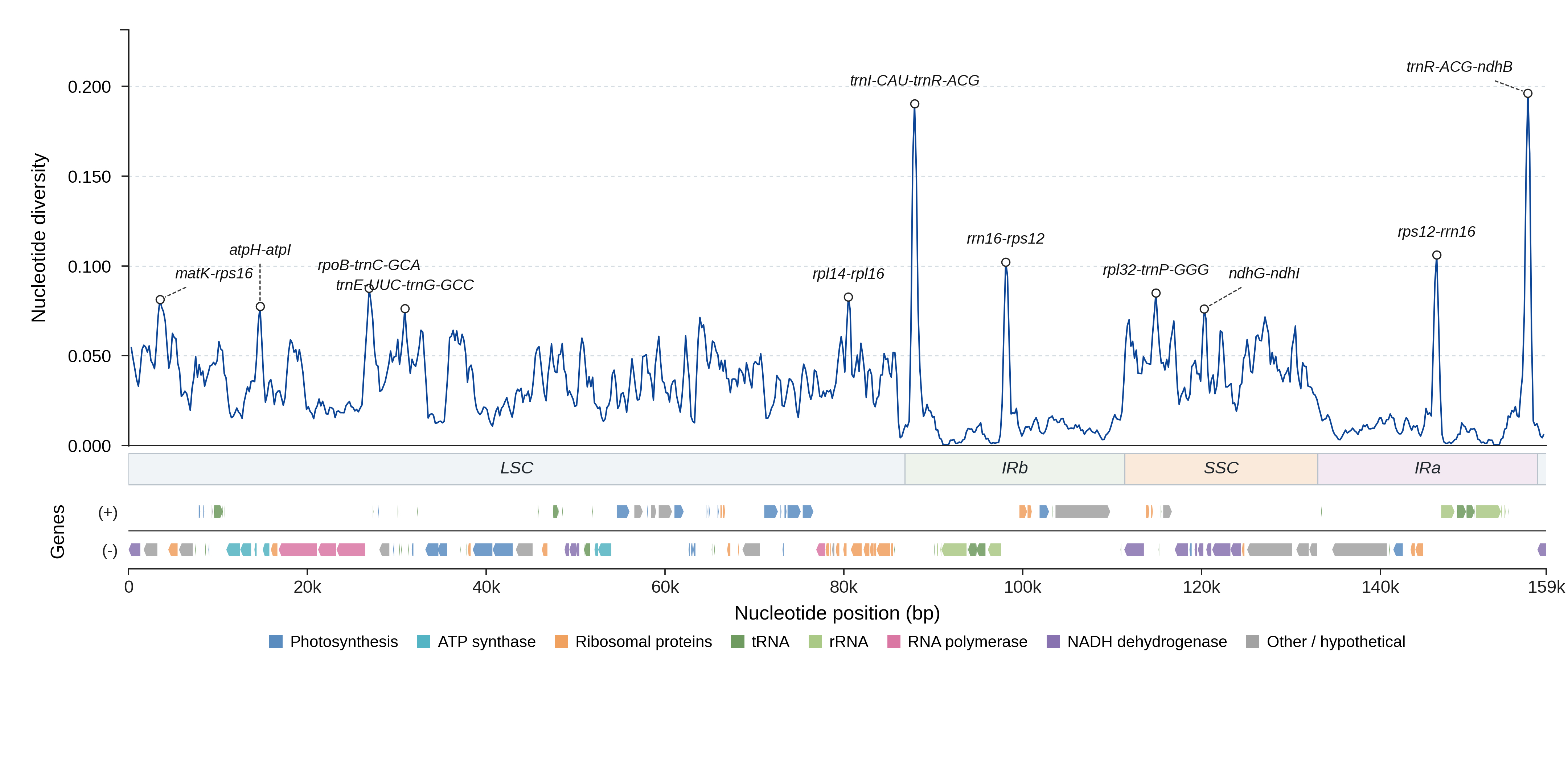 Sliding-window nucleotide diversity