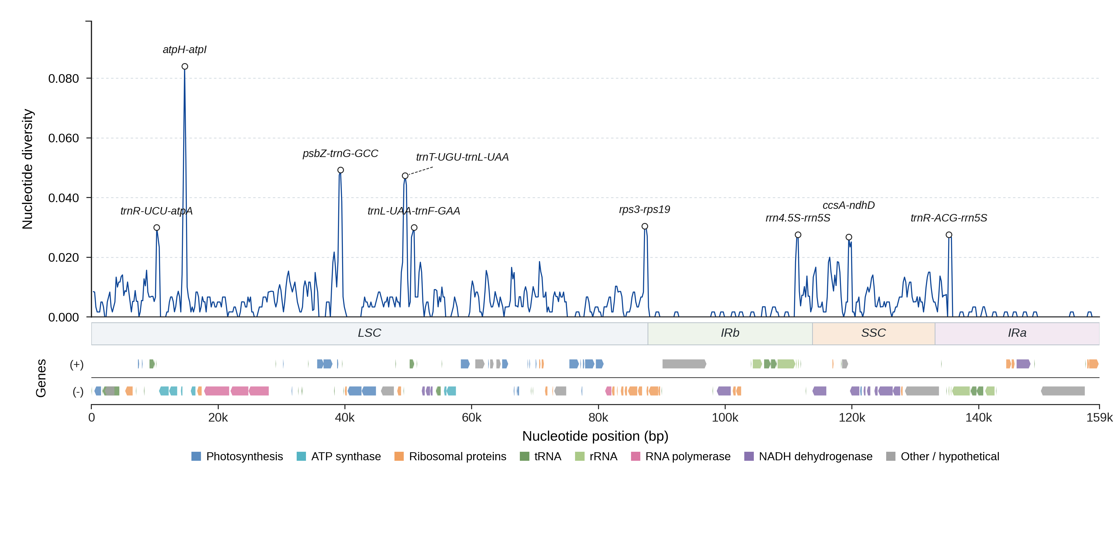 Sliding-window nucleotide diversity