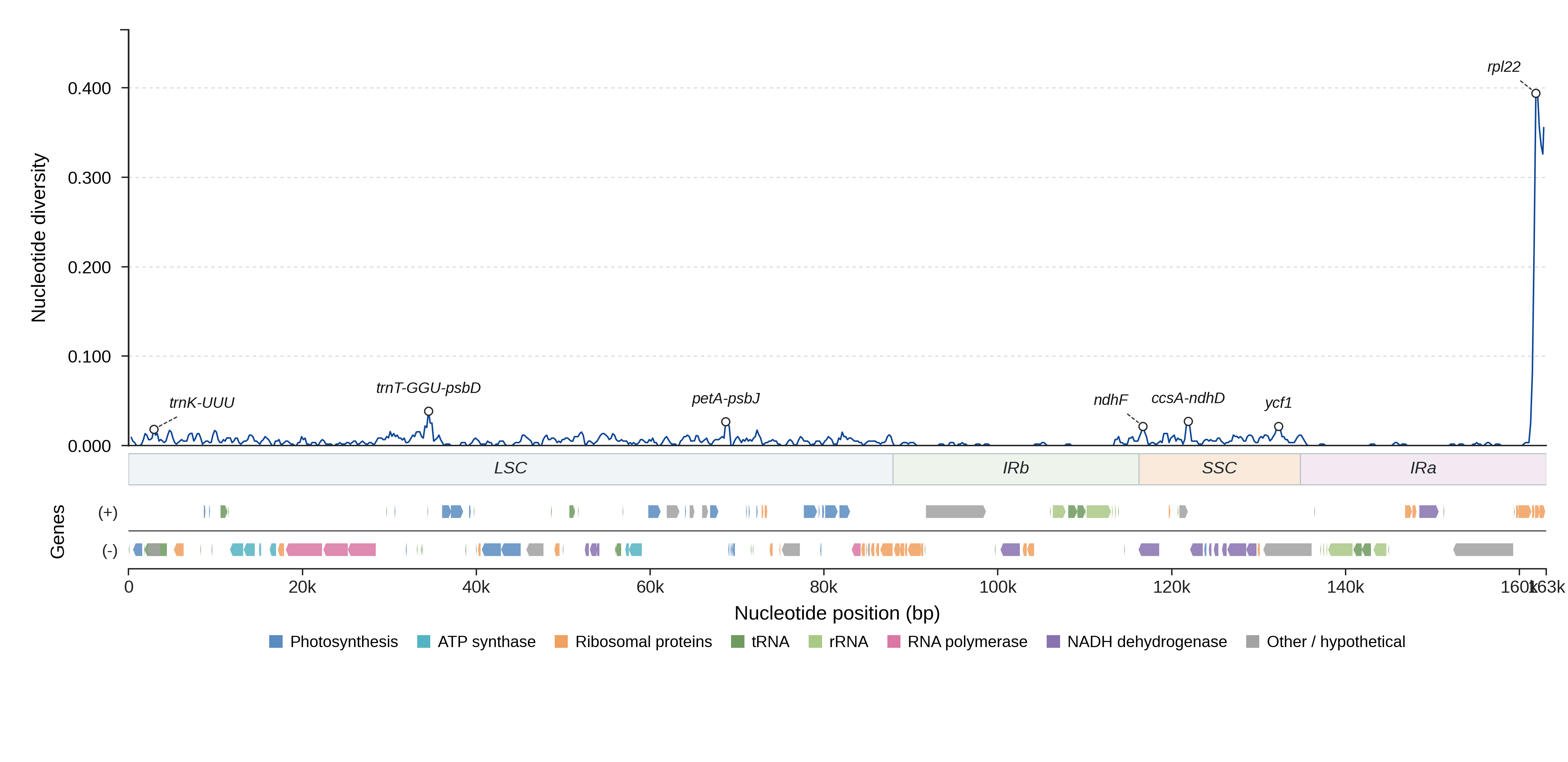 Sliding-window nucleotide diversity