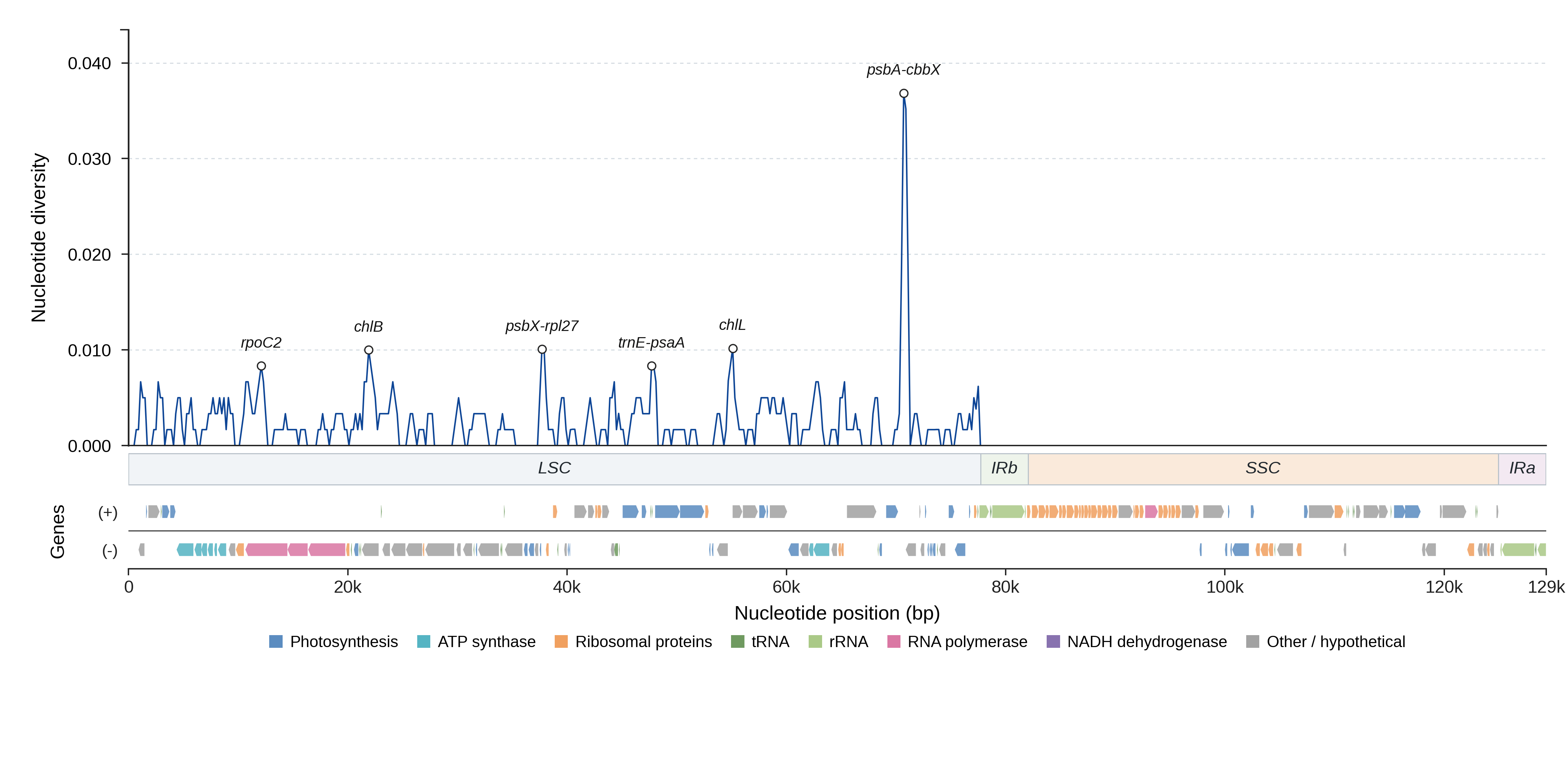 Sliding-window nucleotide diversity