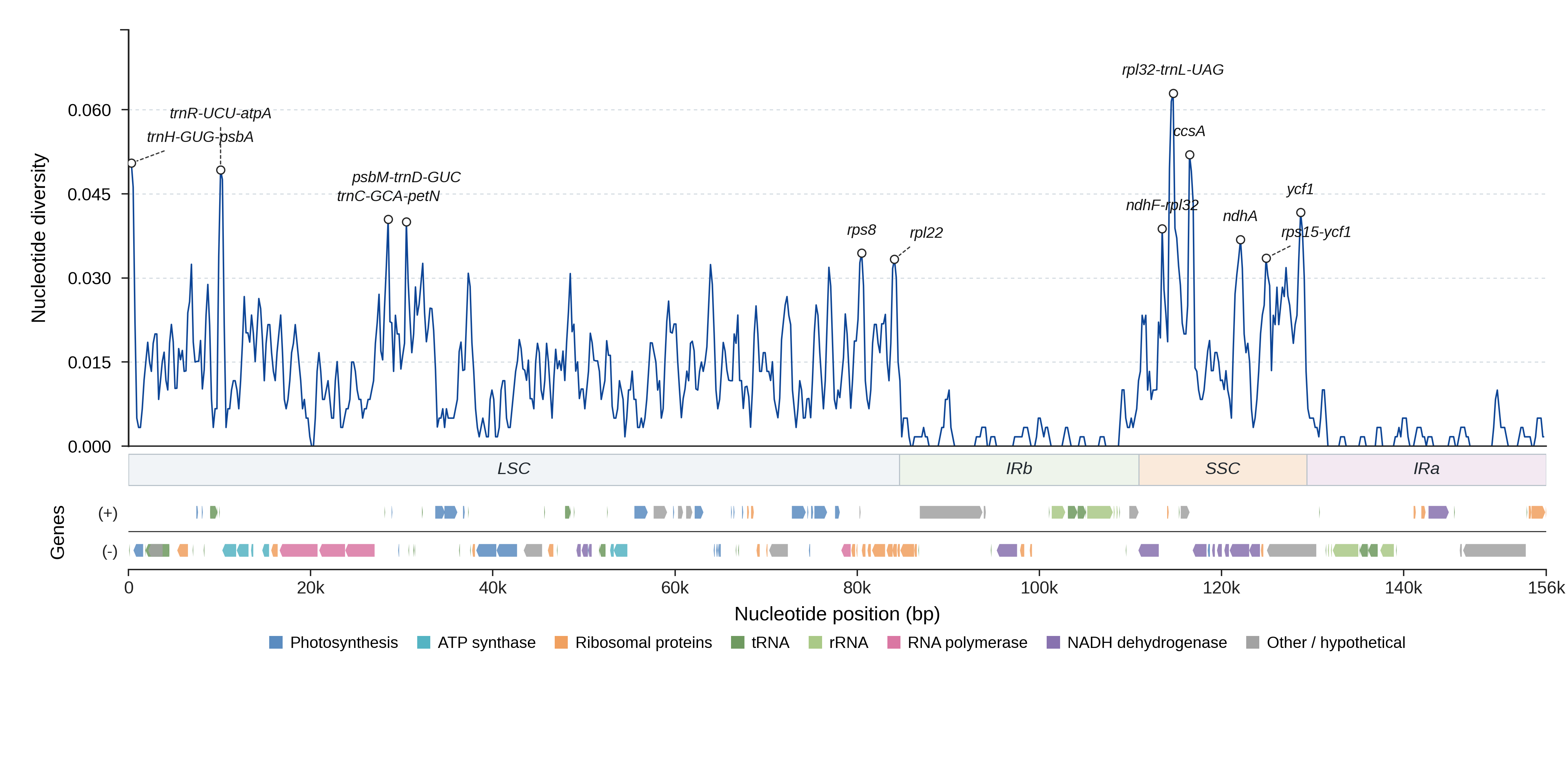 Sliding-window nucleotide diversity