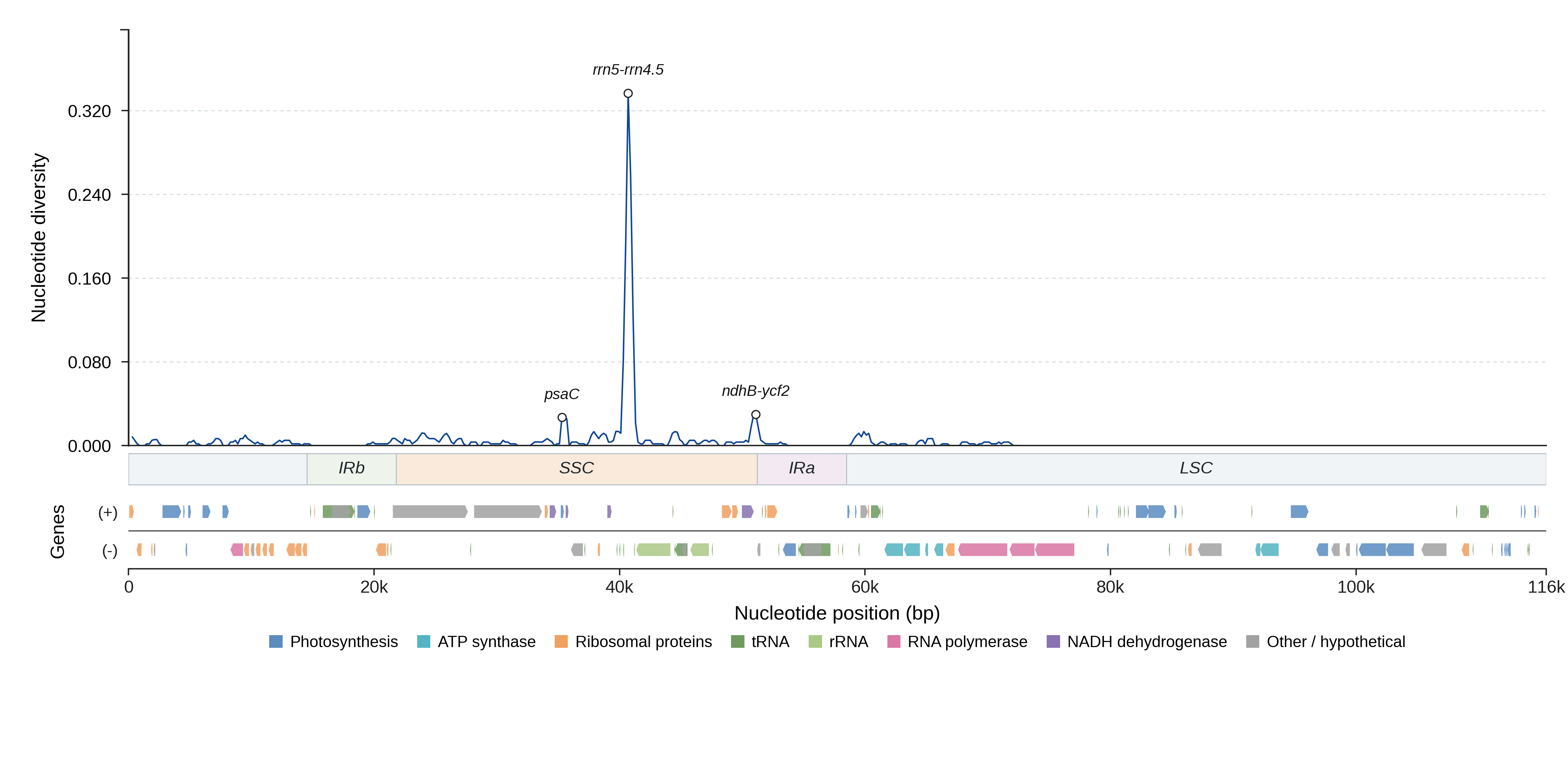 Sliding-window nucleotide diversity