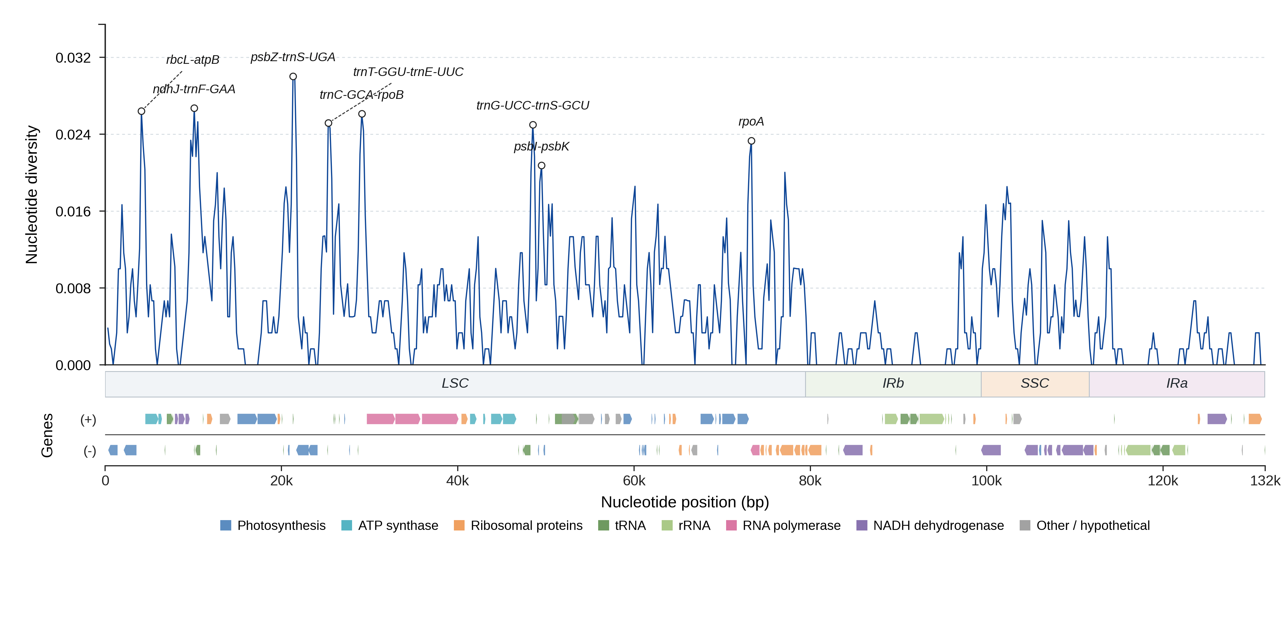 Sliding-window nucleotide diversity