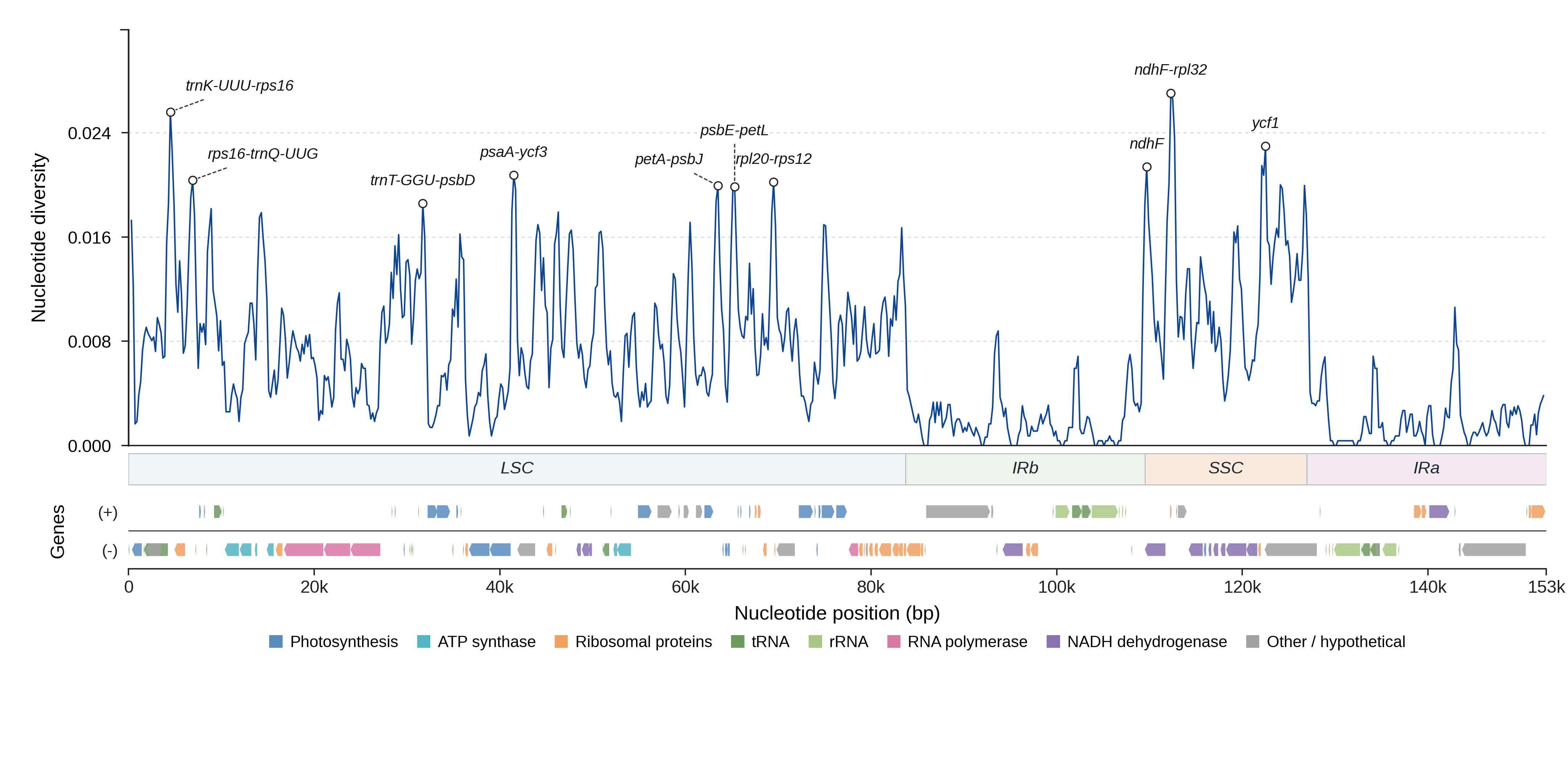 Sliding-window nucleotide diversity