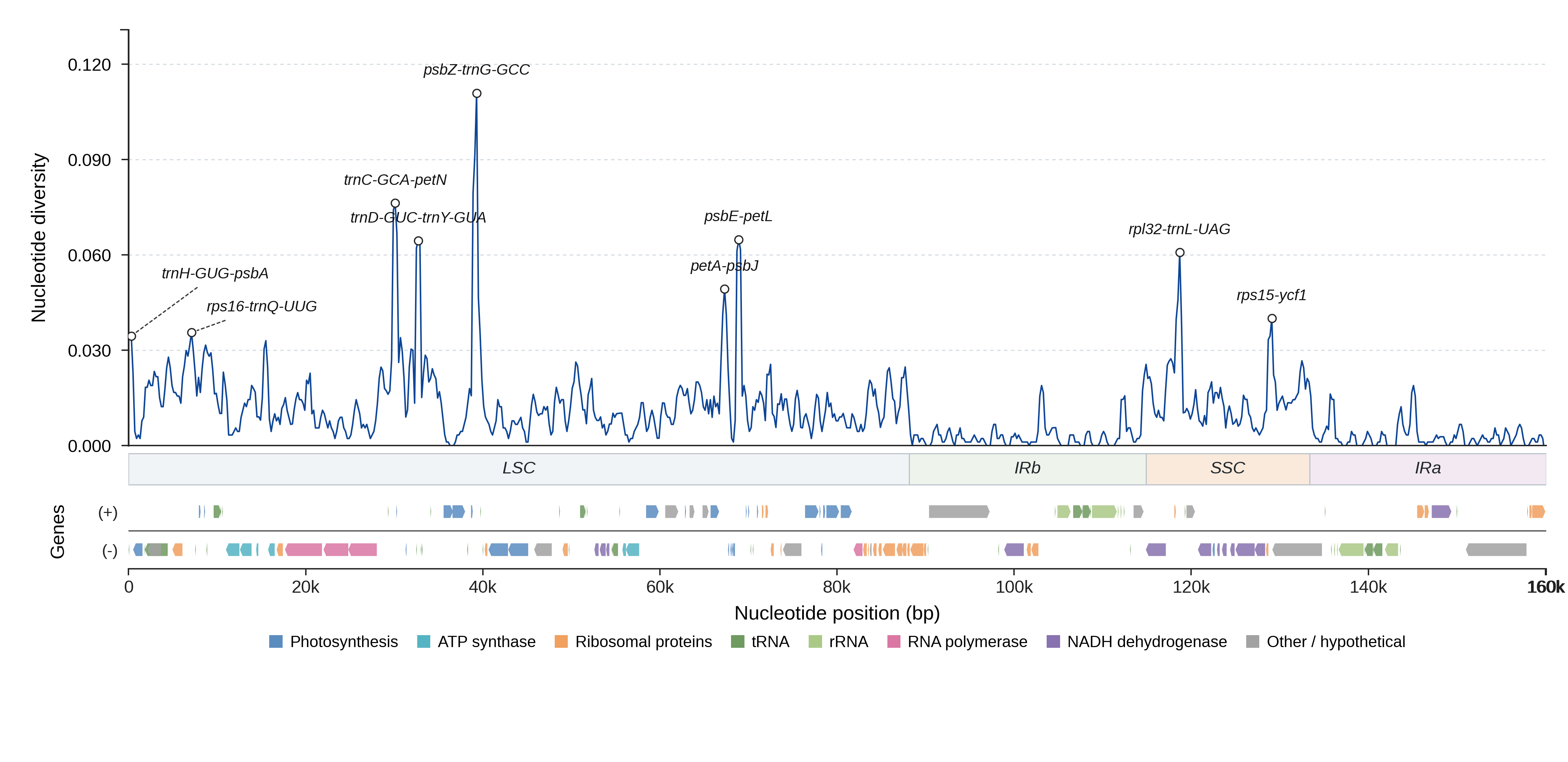 Sliding-window nucleotide diversity