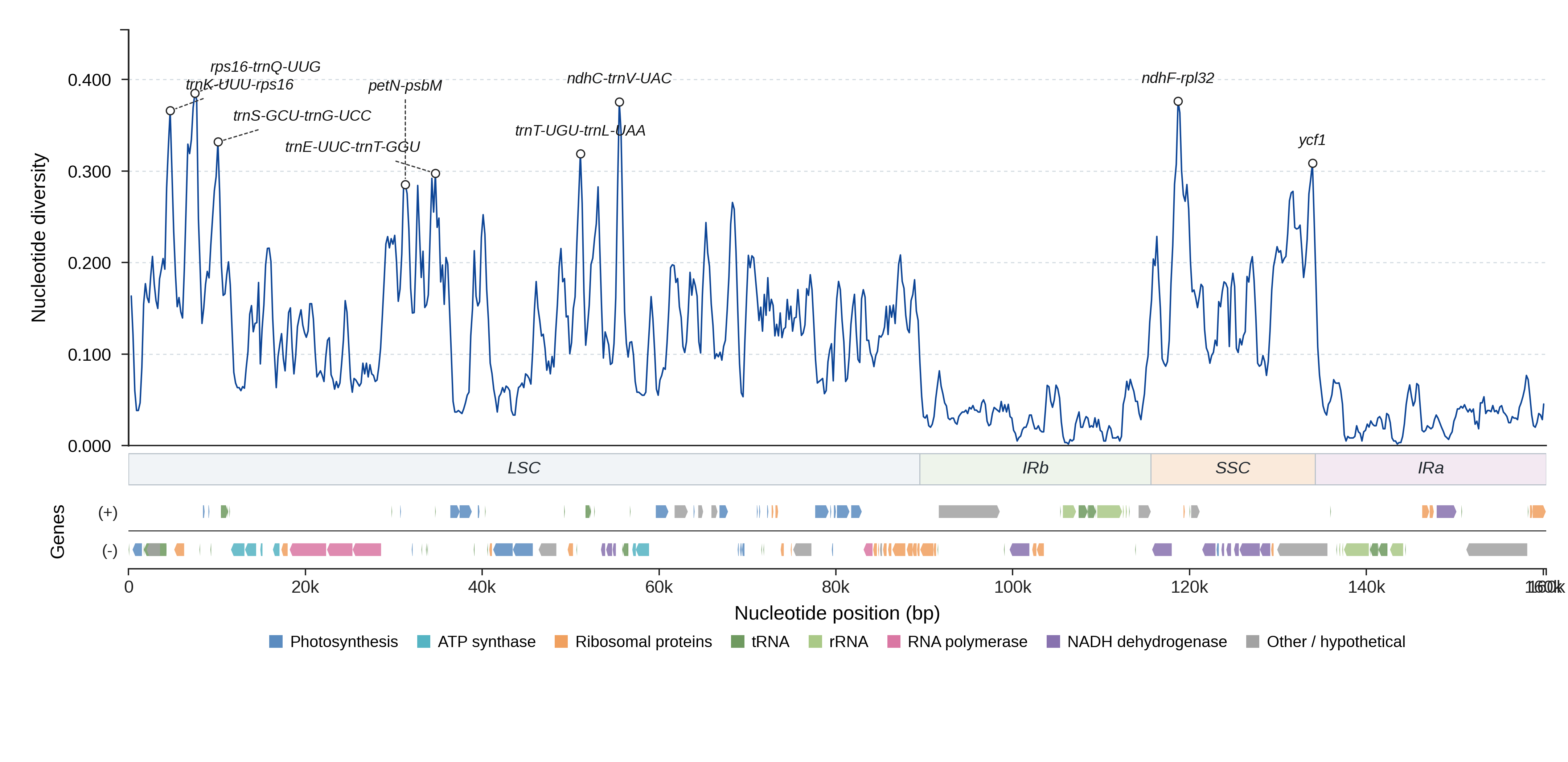Sliding-window nucleotide diversity