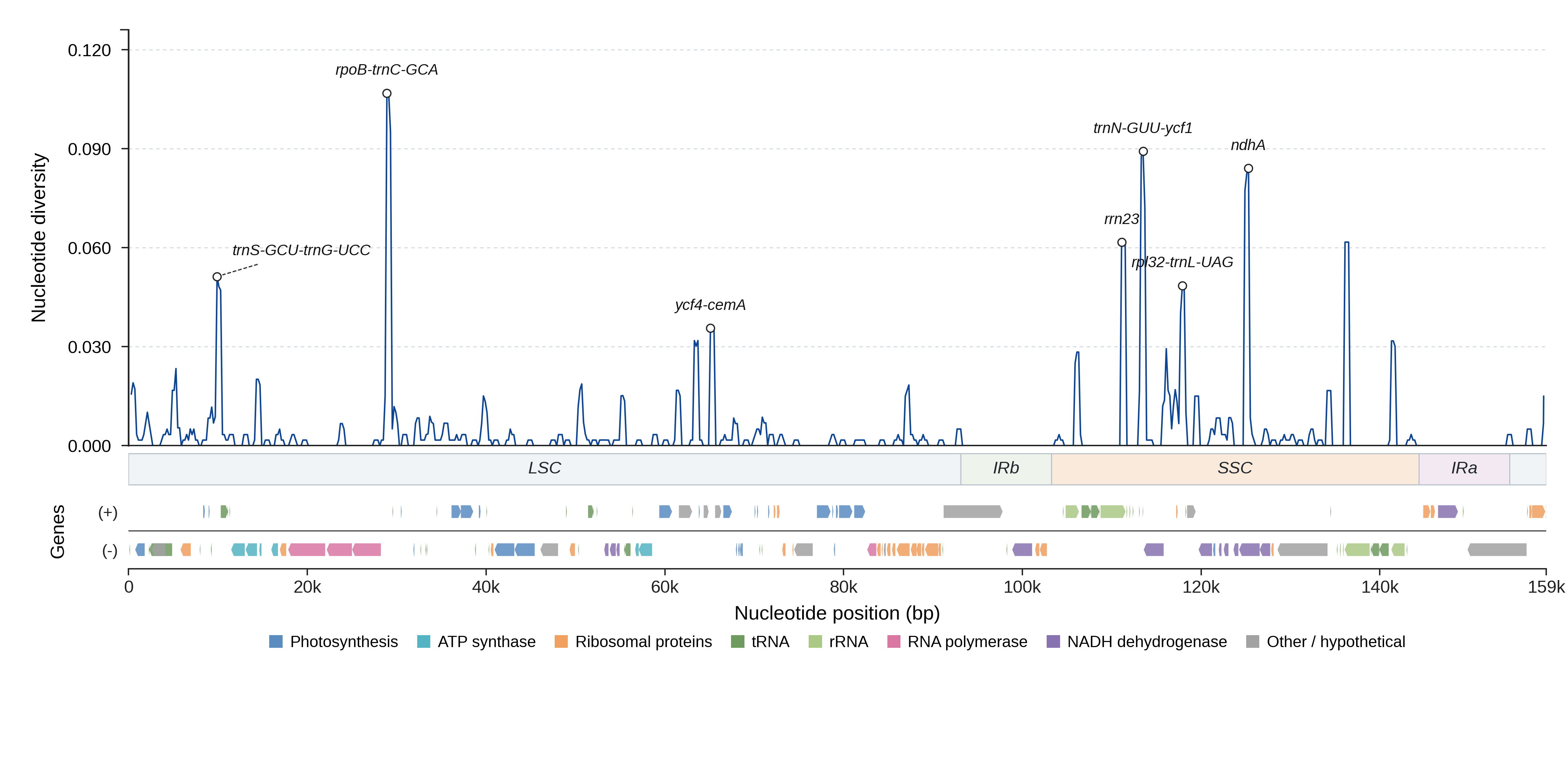 Sliding-window nucleotide diversity