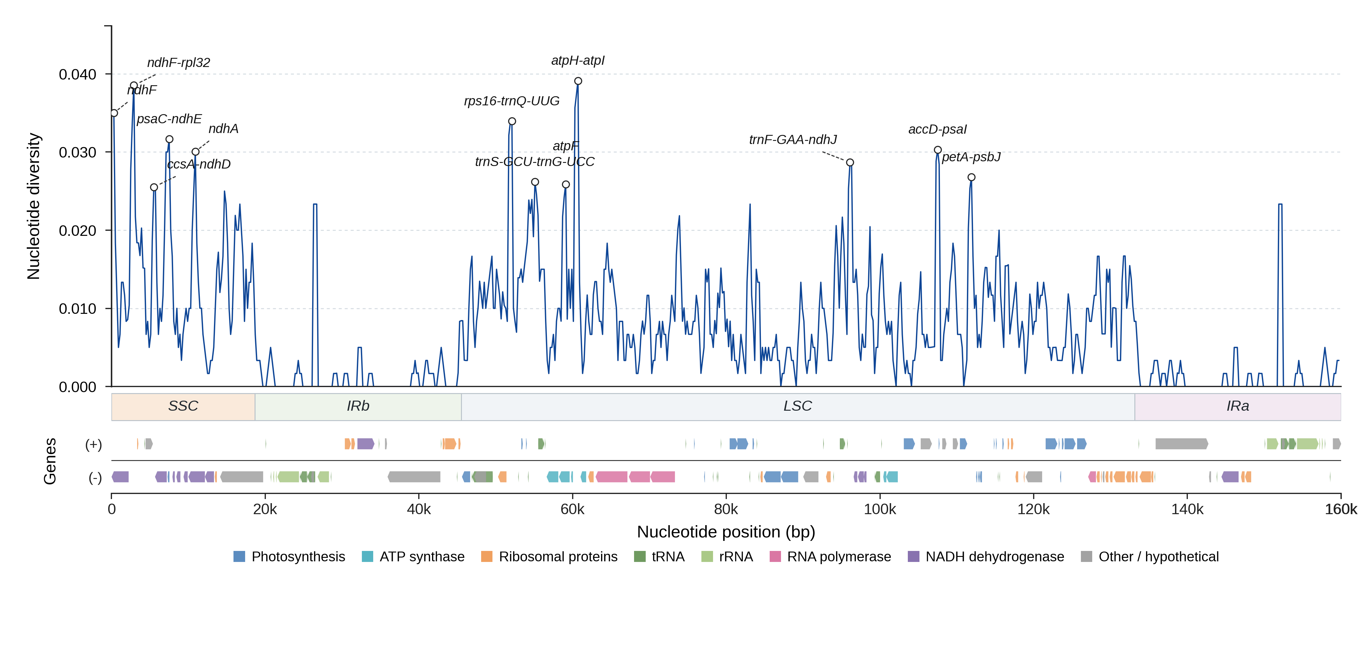 Sliding-window nucleotide diversity