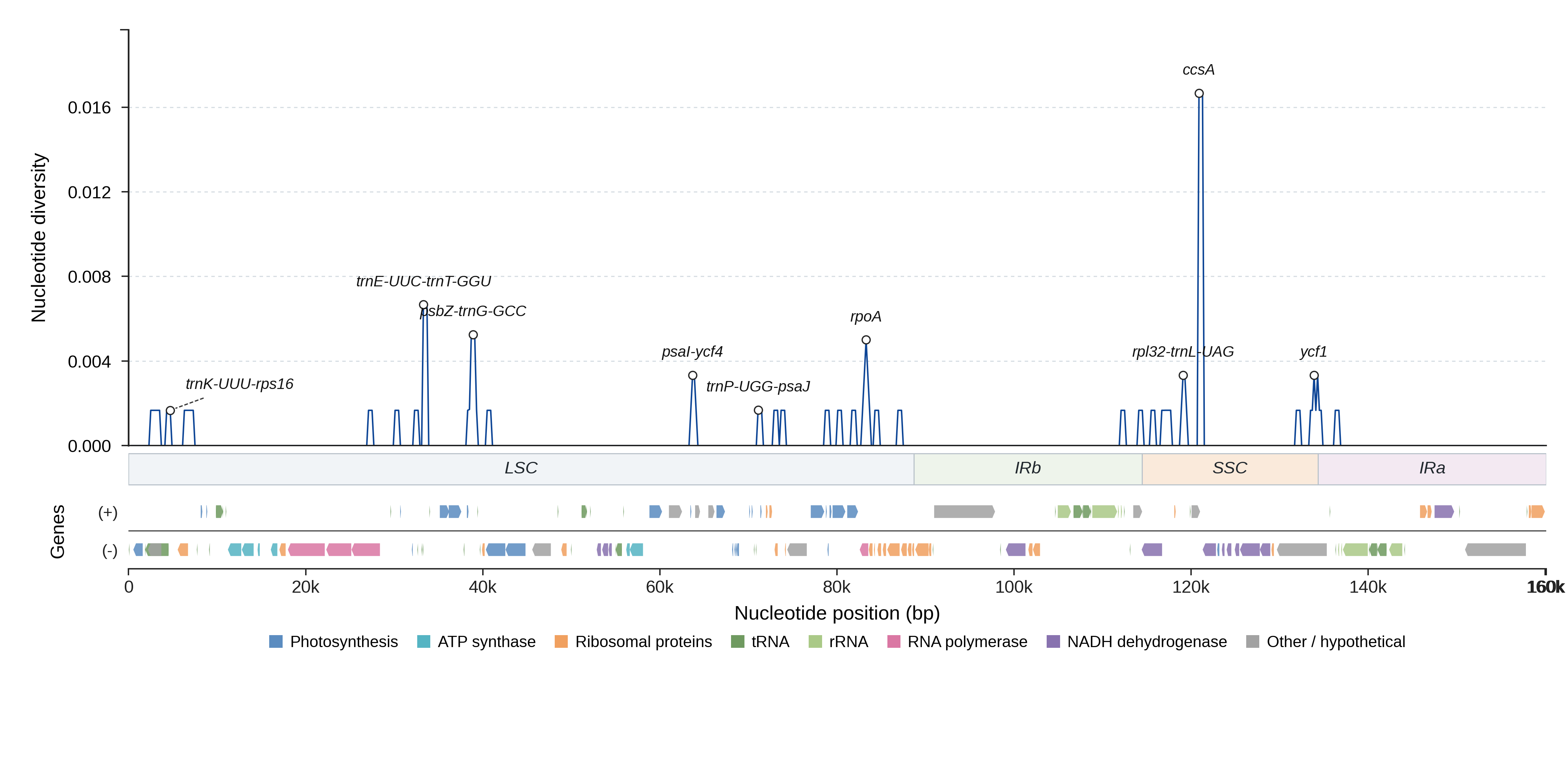 Sliding-window nucleotide diversity