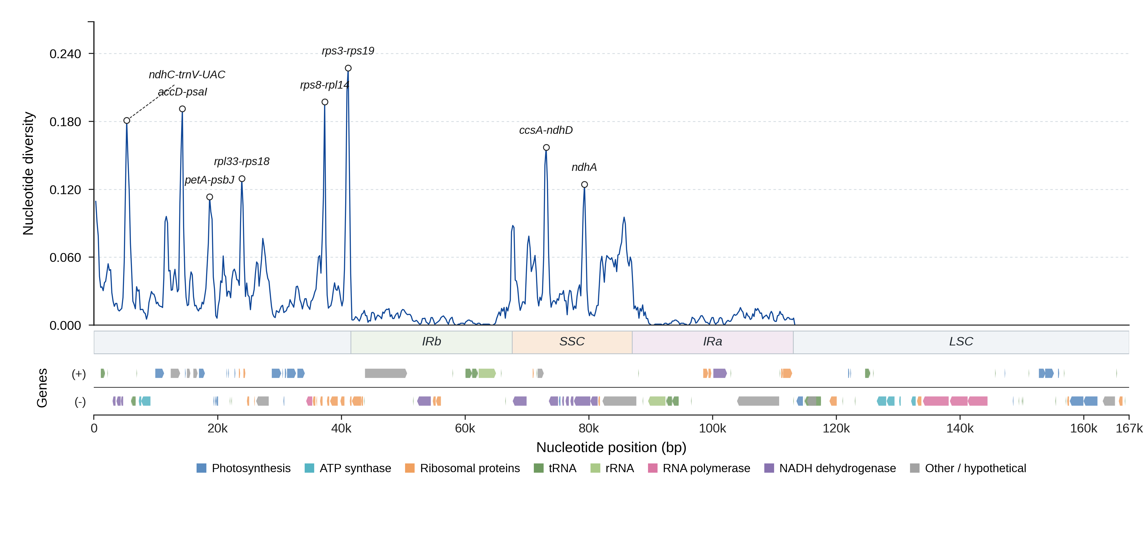 Sliding-window nucleotide diversity