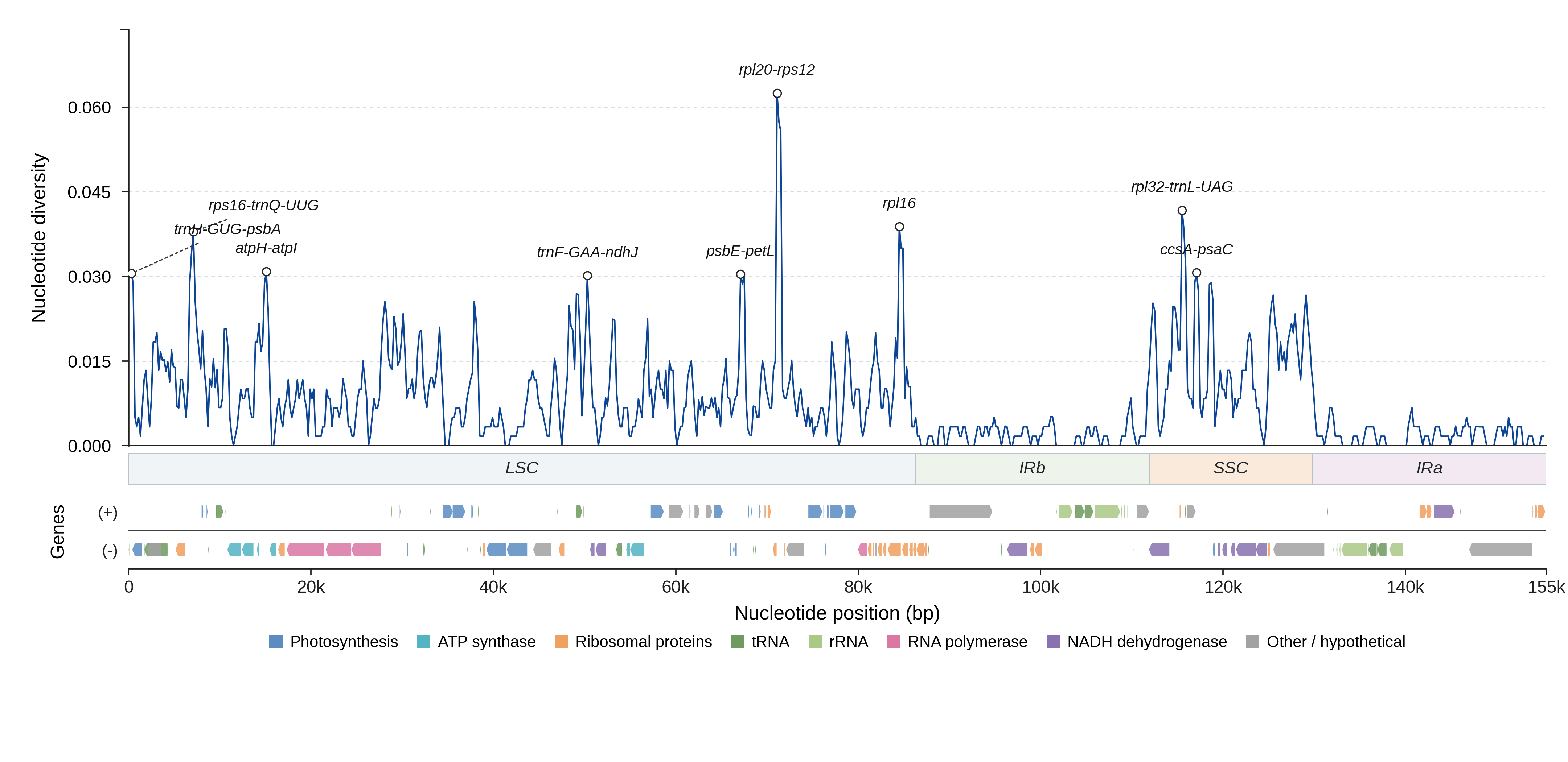 Sliding-window nucleotide diversity