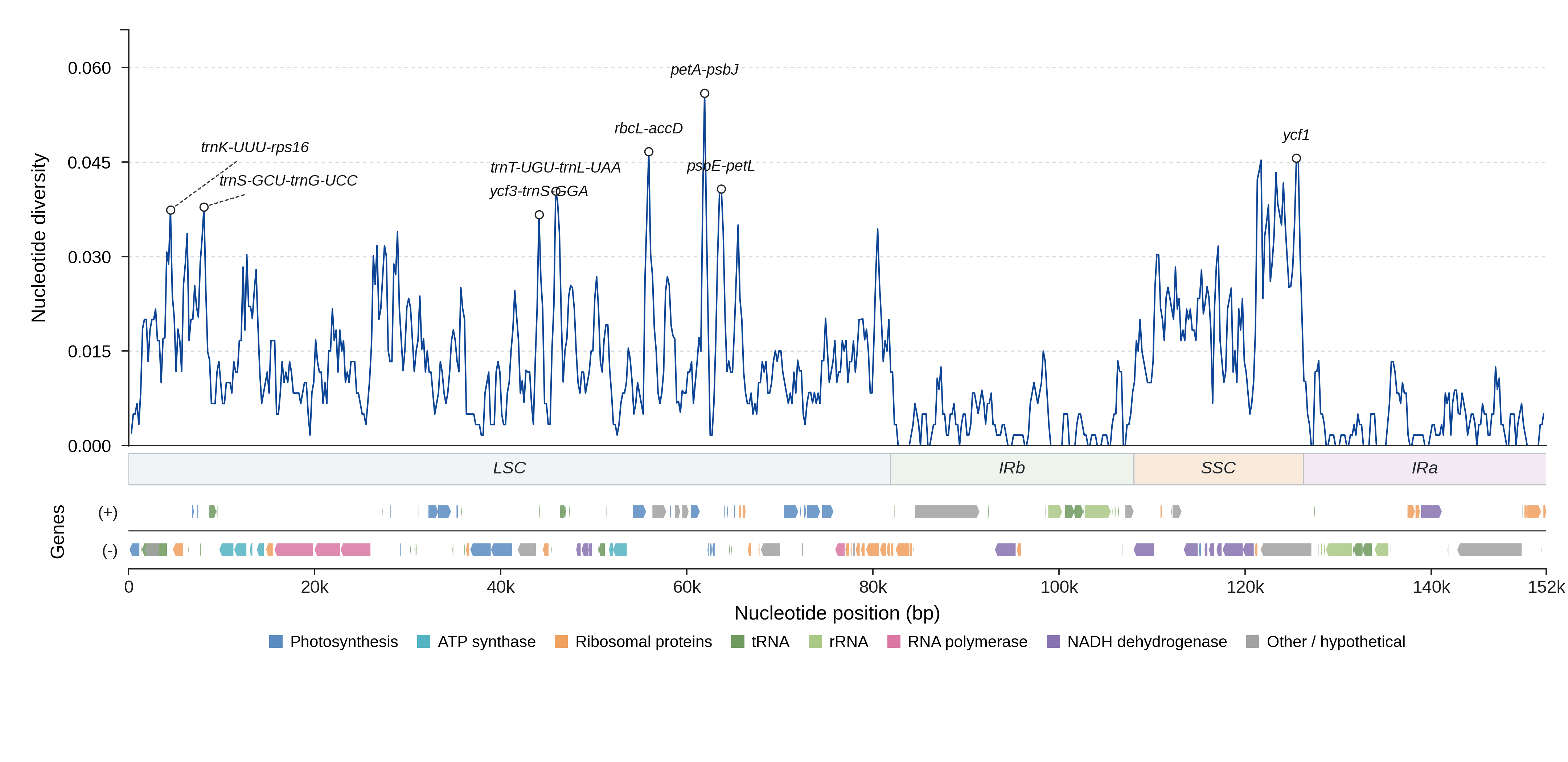 Sliding-window nucleotide diversity