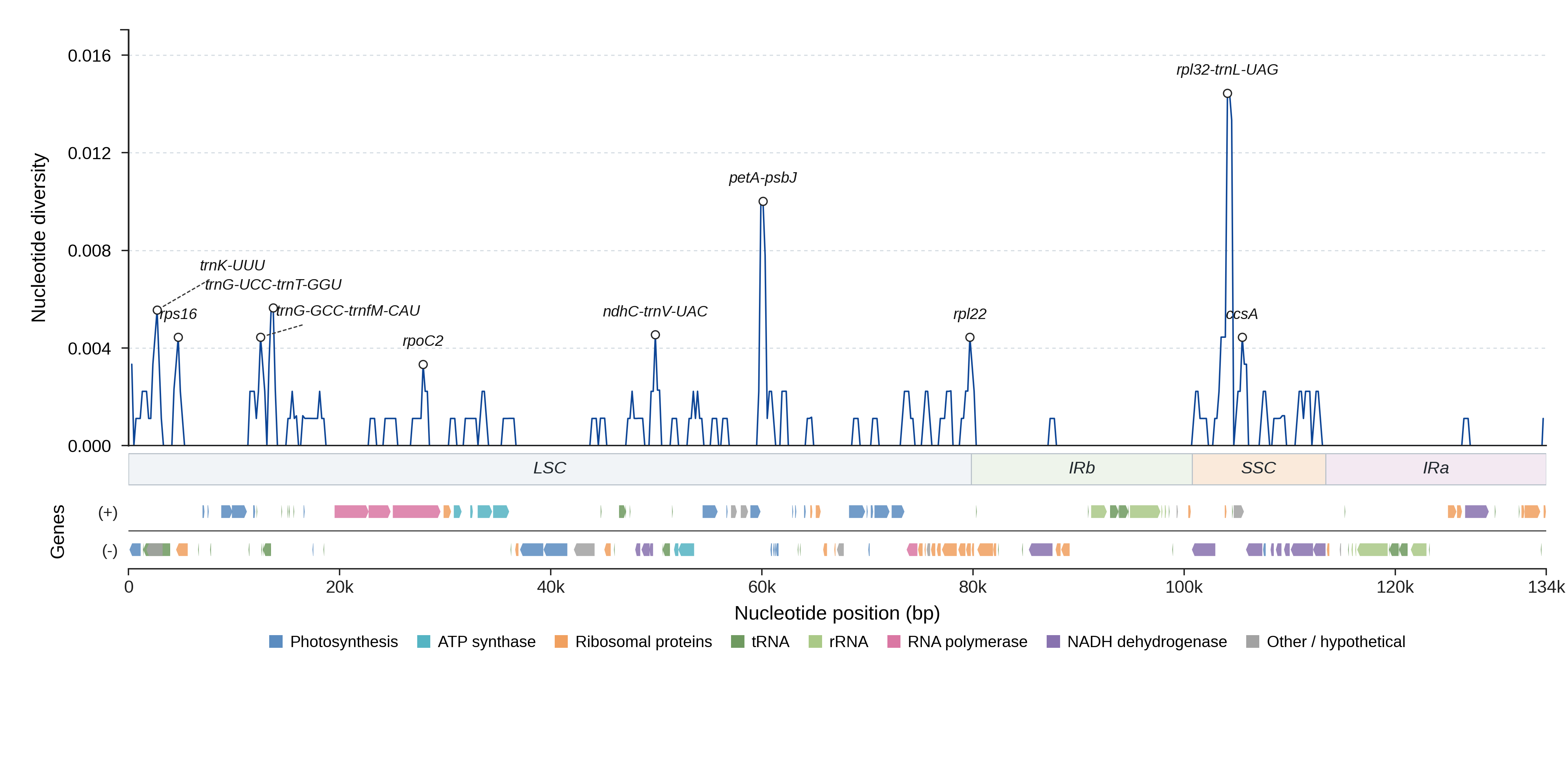 Sliding-window nucleotide diversity