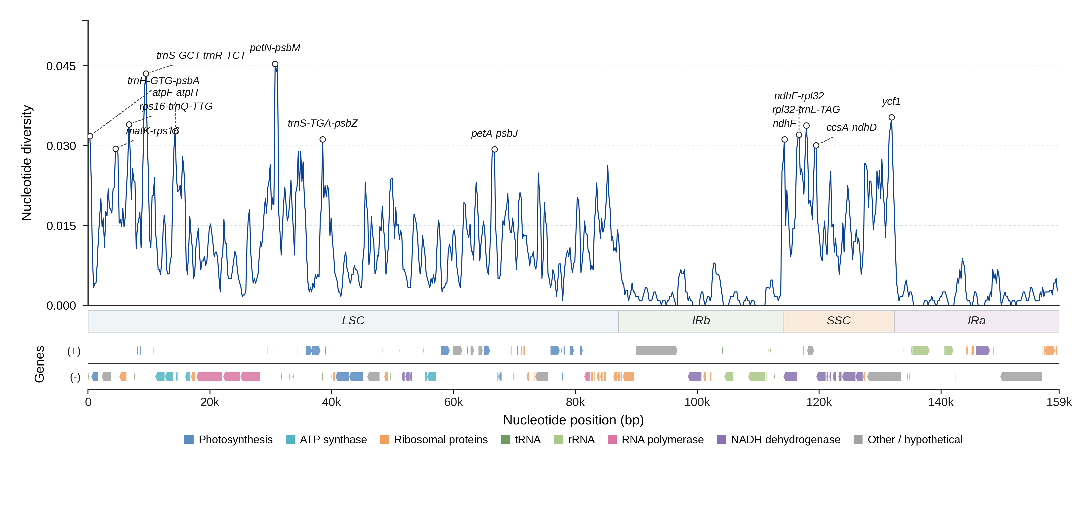 Sliding-window nucleotide diversity