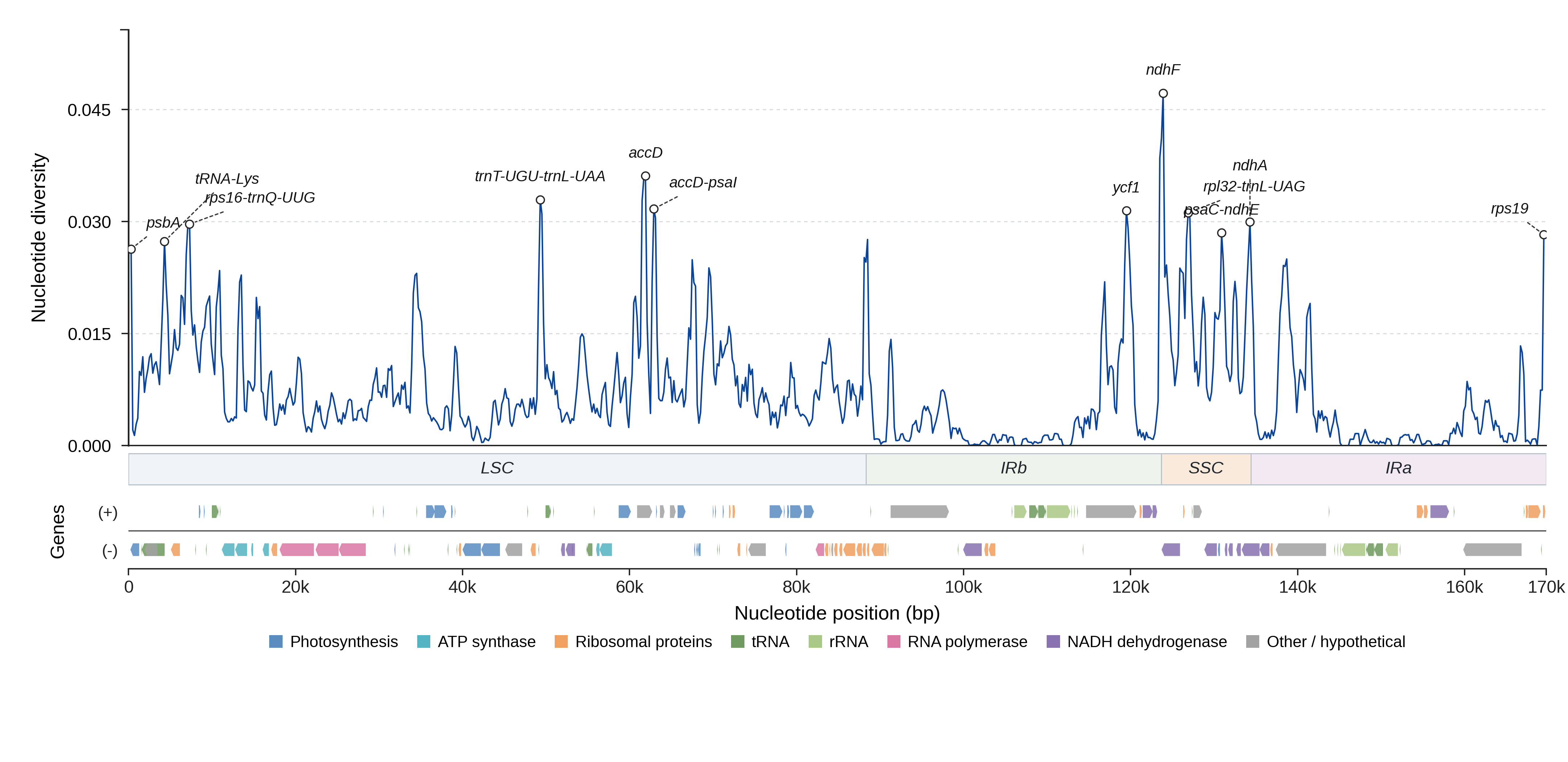 Sliding-window nucleotide diversity