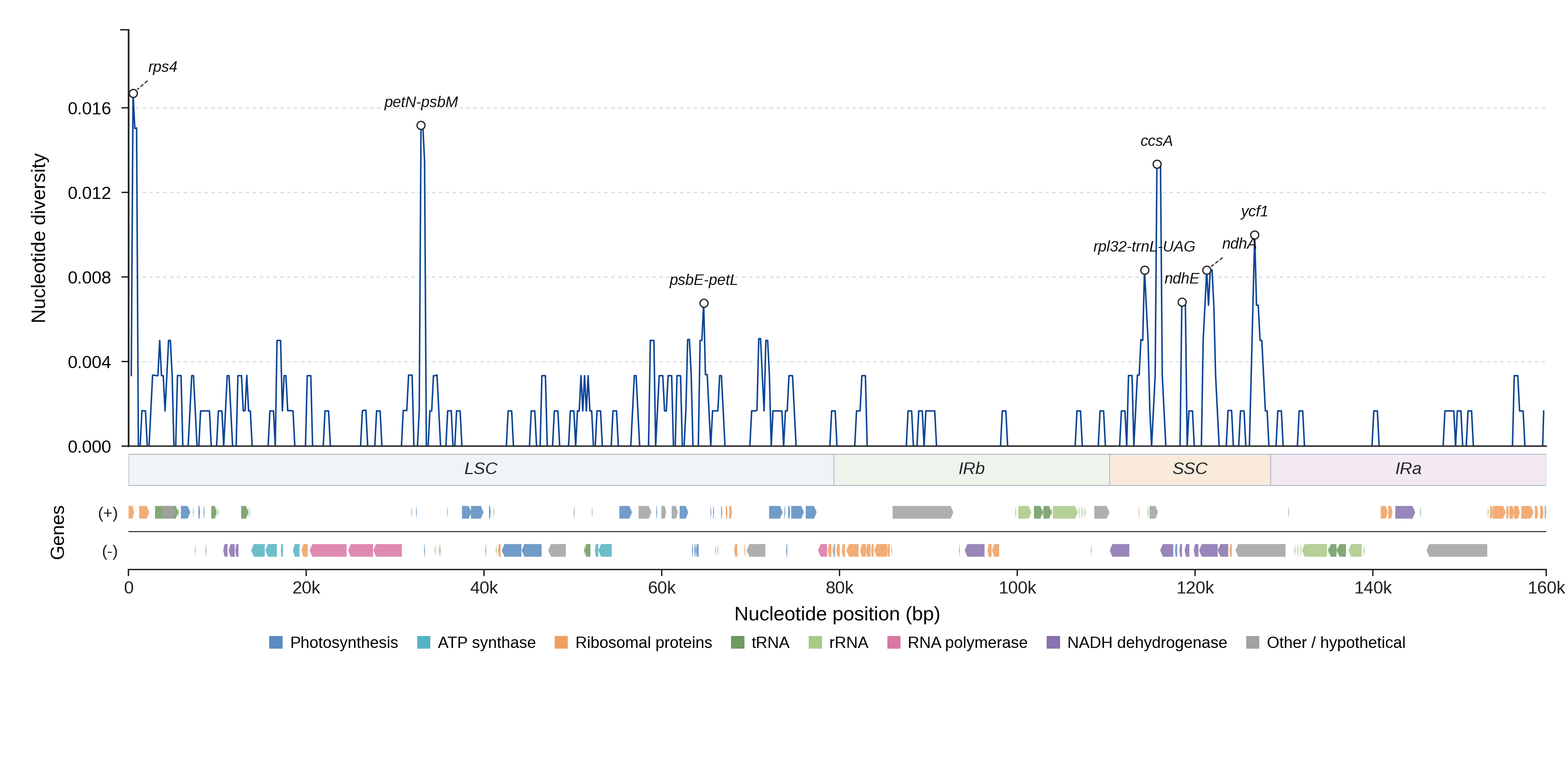 Sliding-window nucleotide diversity