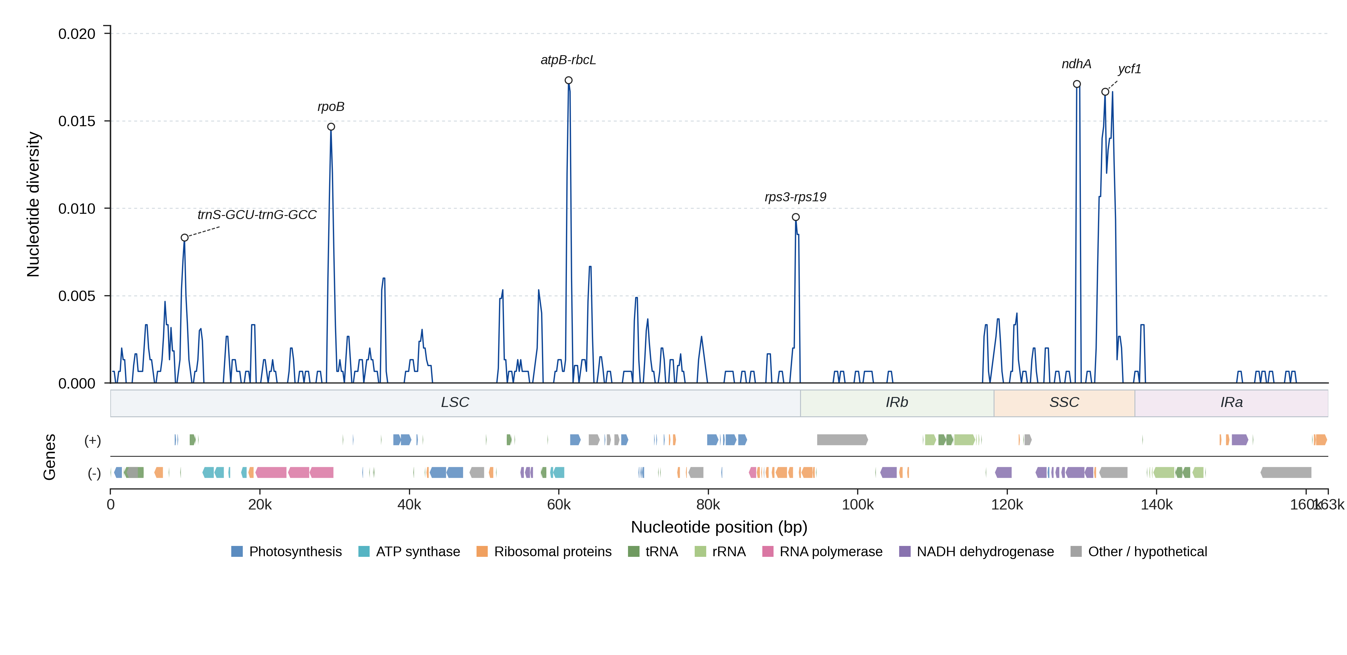 Sliding-window nucleotide diversity