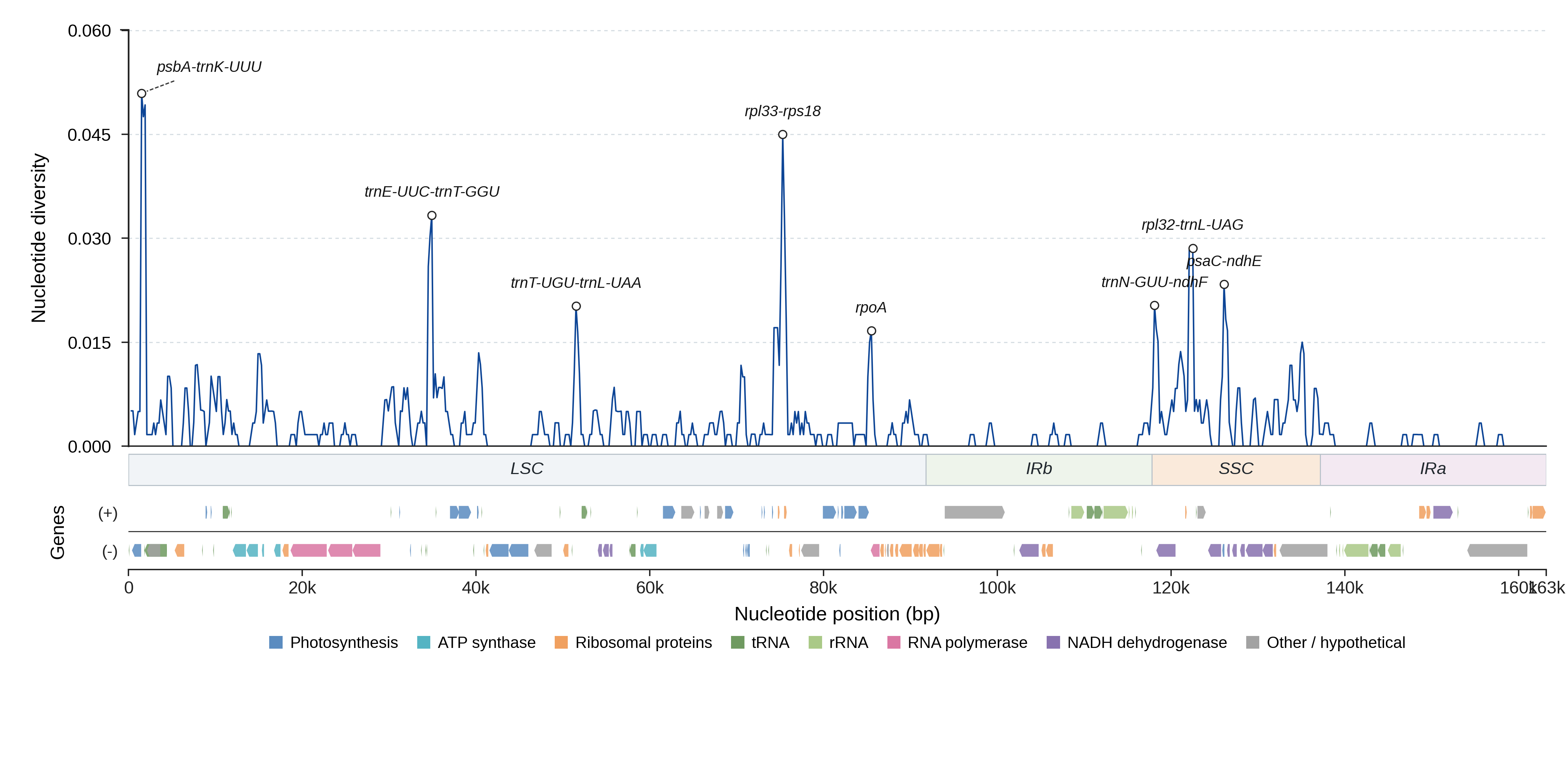 Sliding-window nucleotide diversity