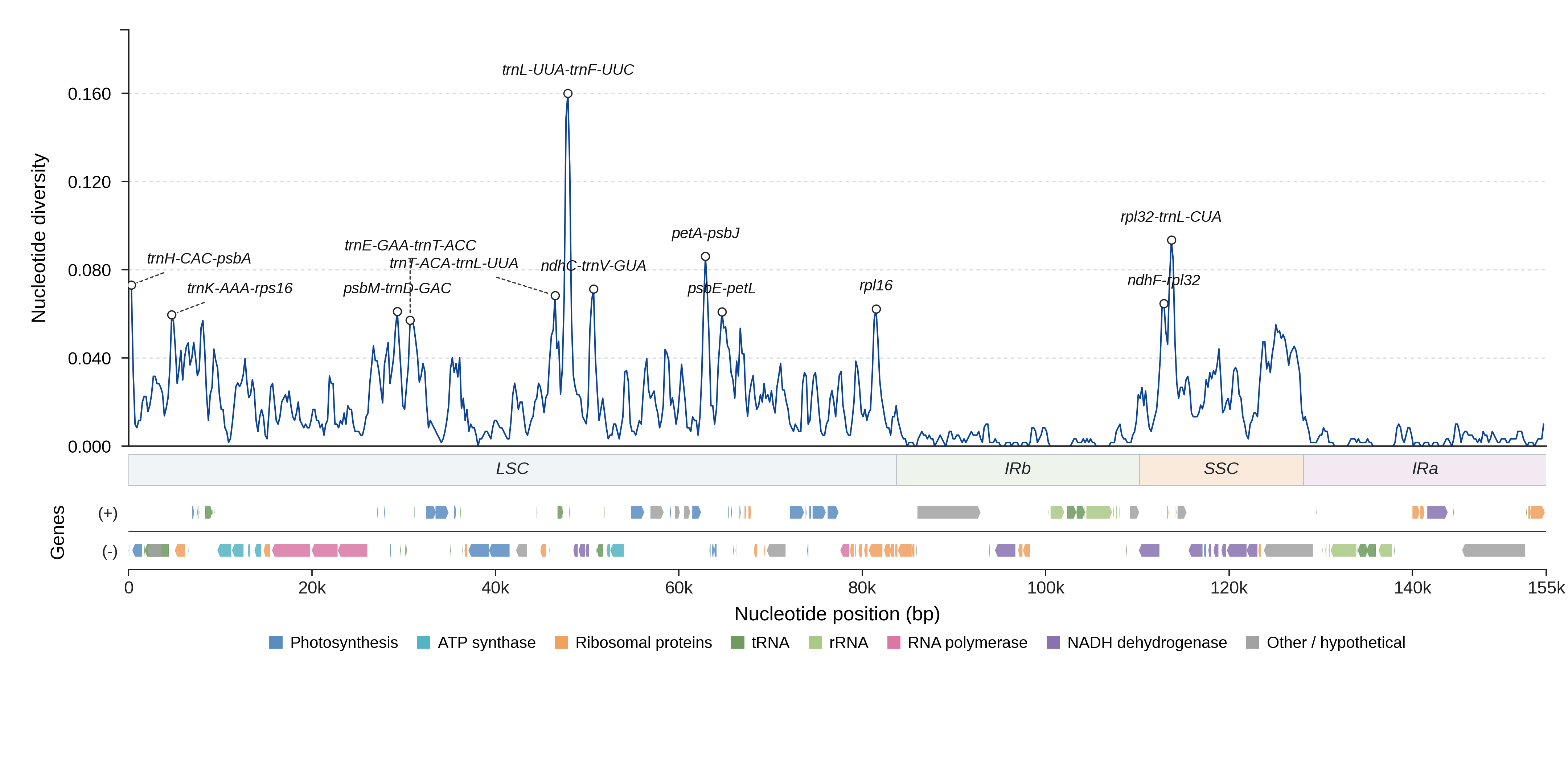 Sliding-window nucleotide diversity