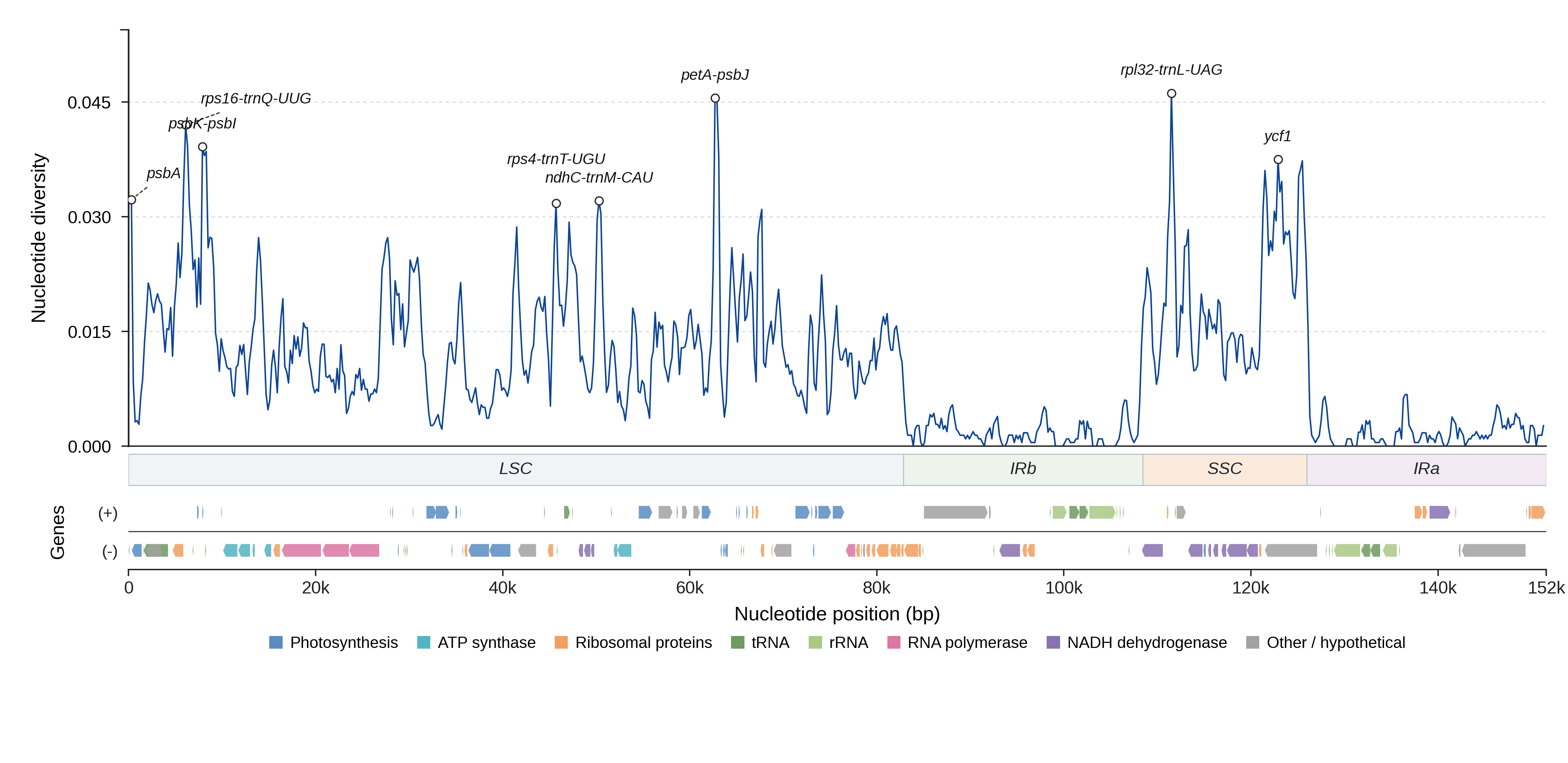 Sliding-window nucleotide diversity