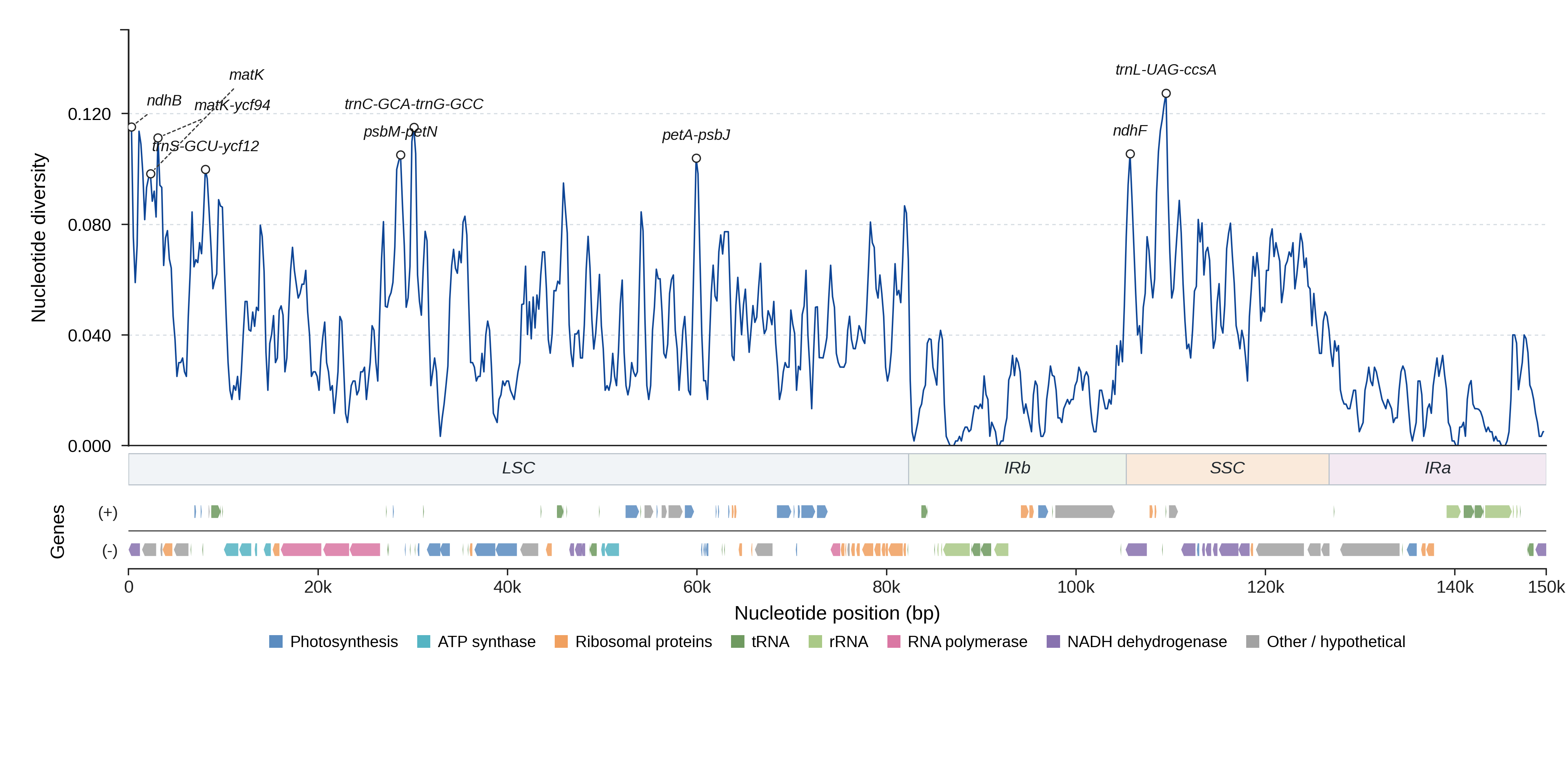 Sliding-window nucleotide diversity