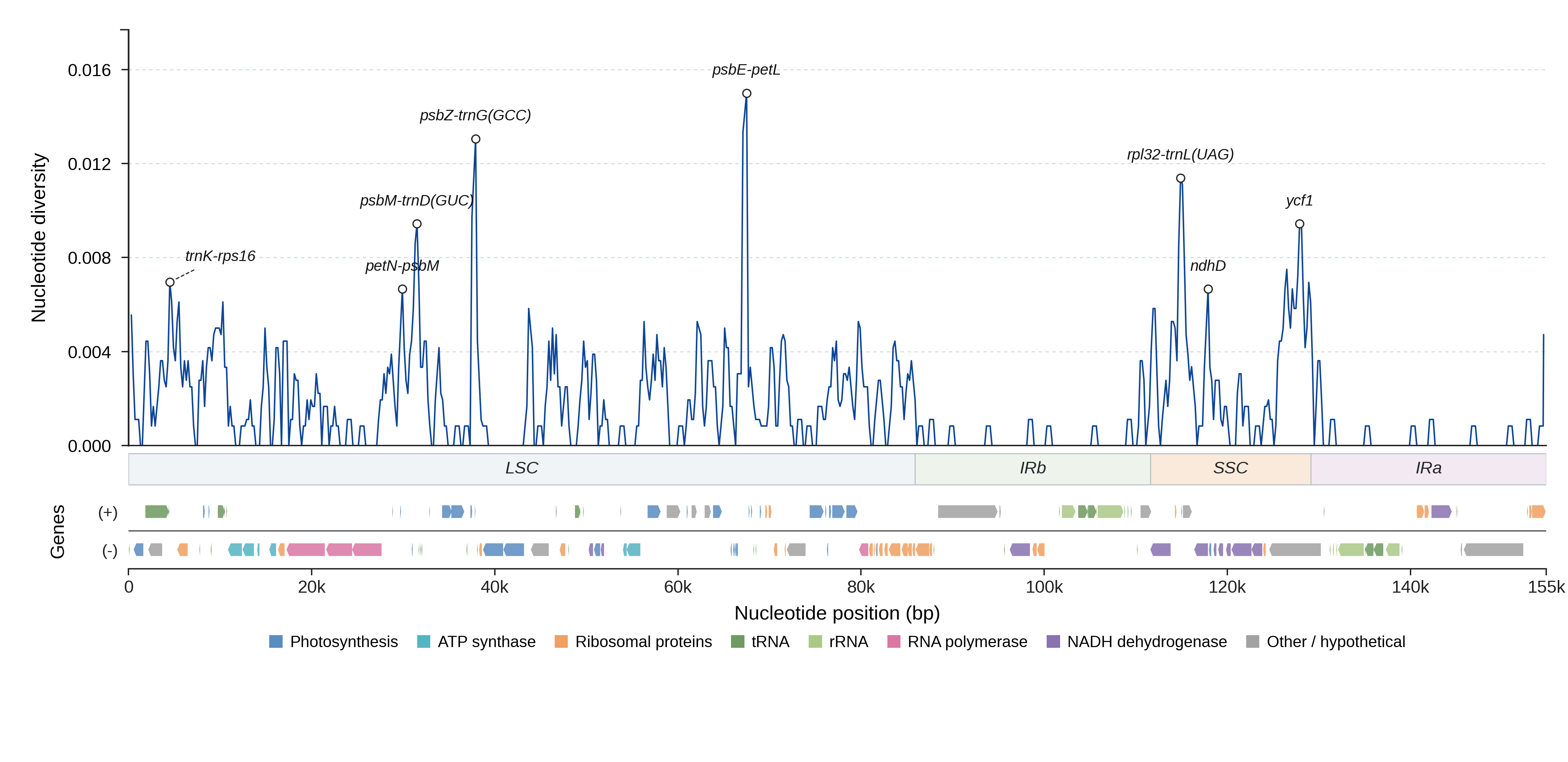 Sliding-window nucleotide diversity