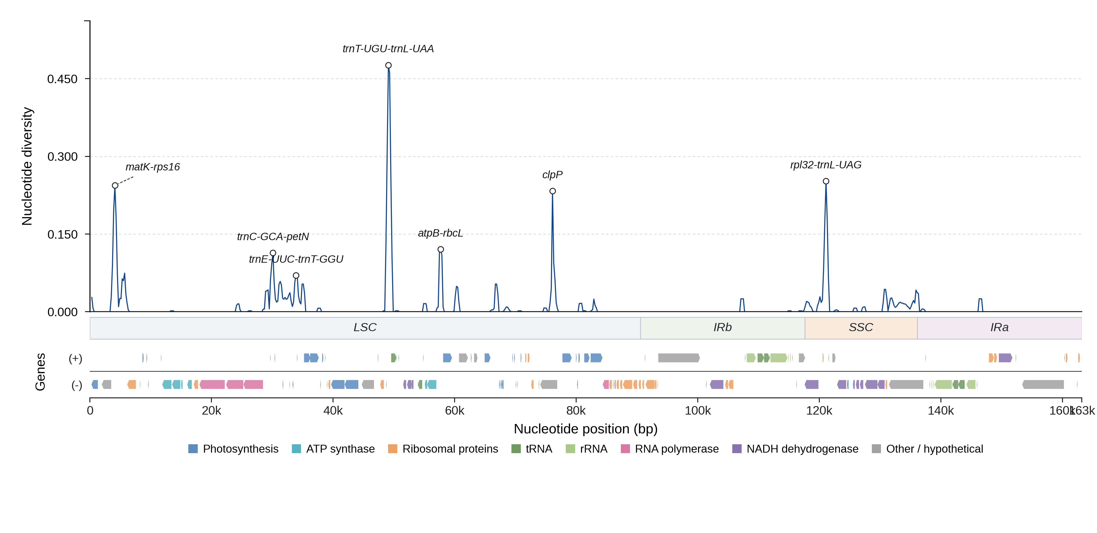 Sliding-window nucleotide diversity
